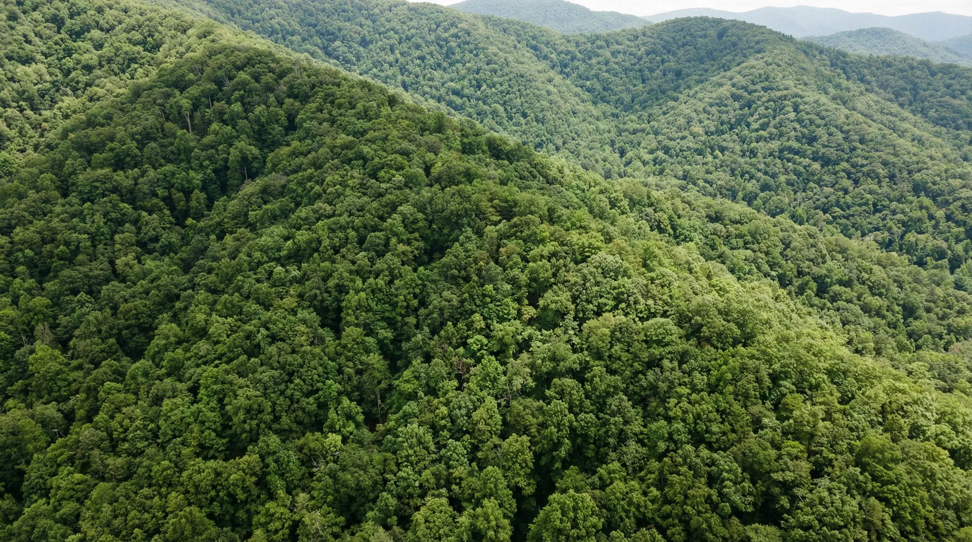 25 Acres in Graham County, NC