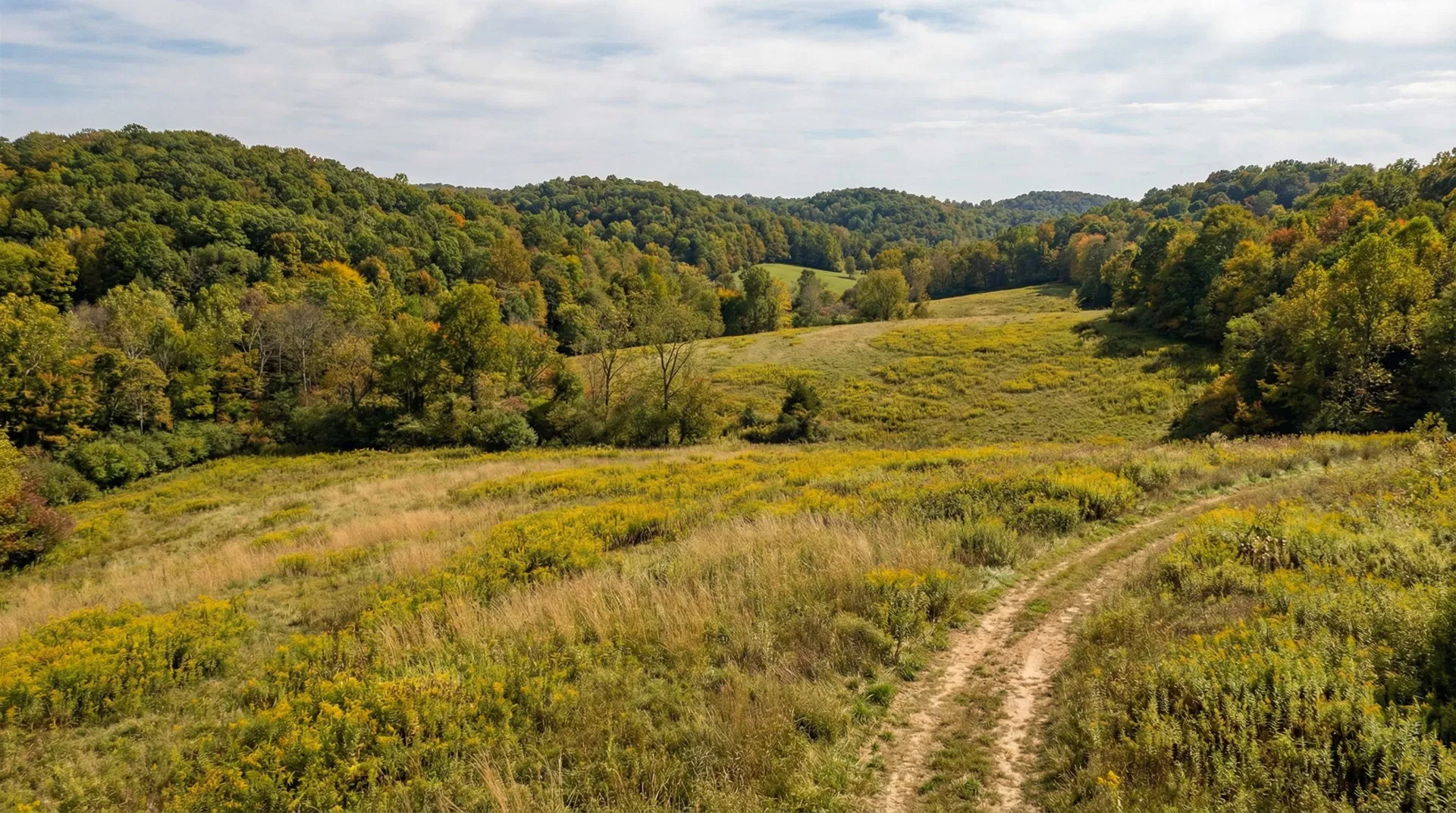 15.93 Acres in Guernsey County, OH
