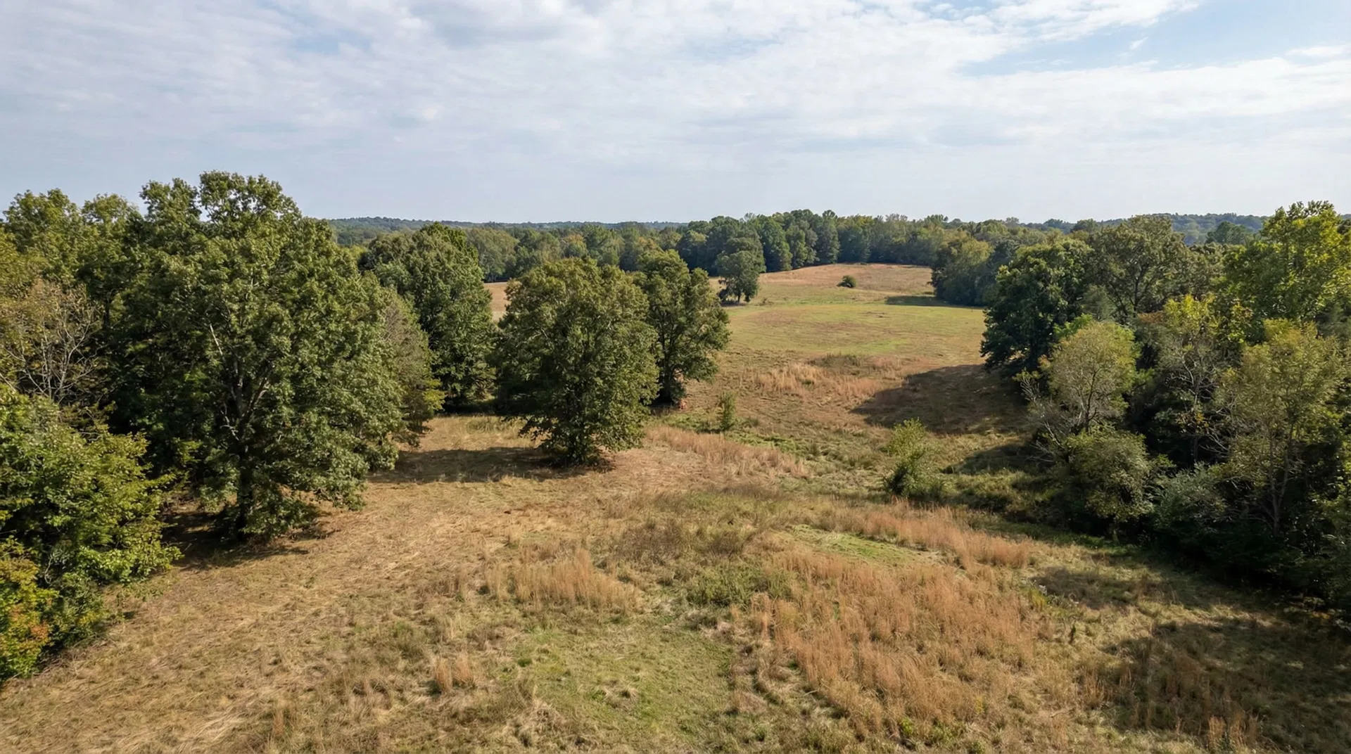 20 Acres in Hardin County, TN