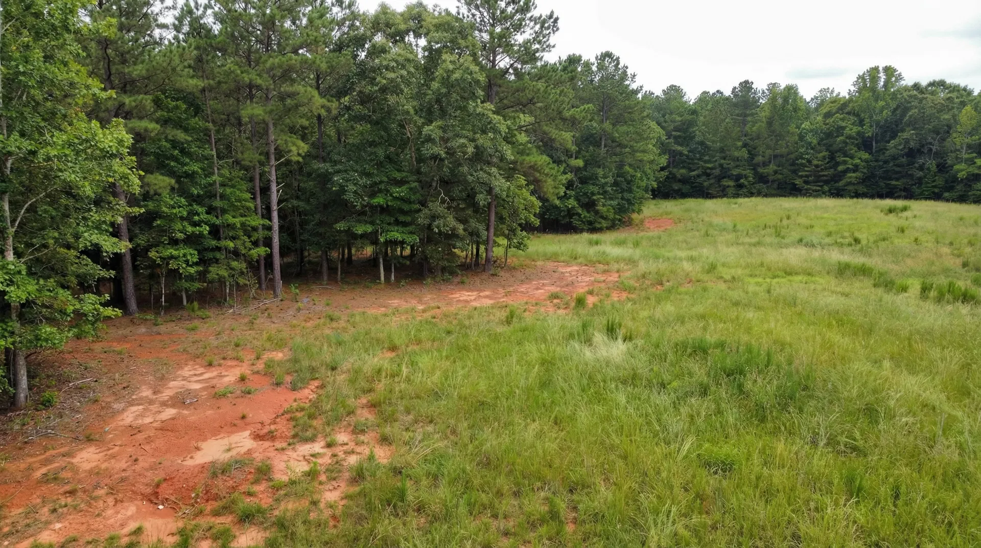 24.19 Acres in Henry County, GA