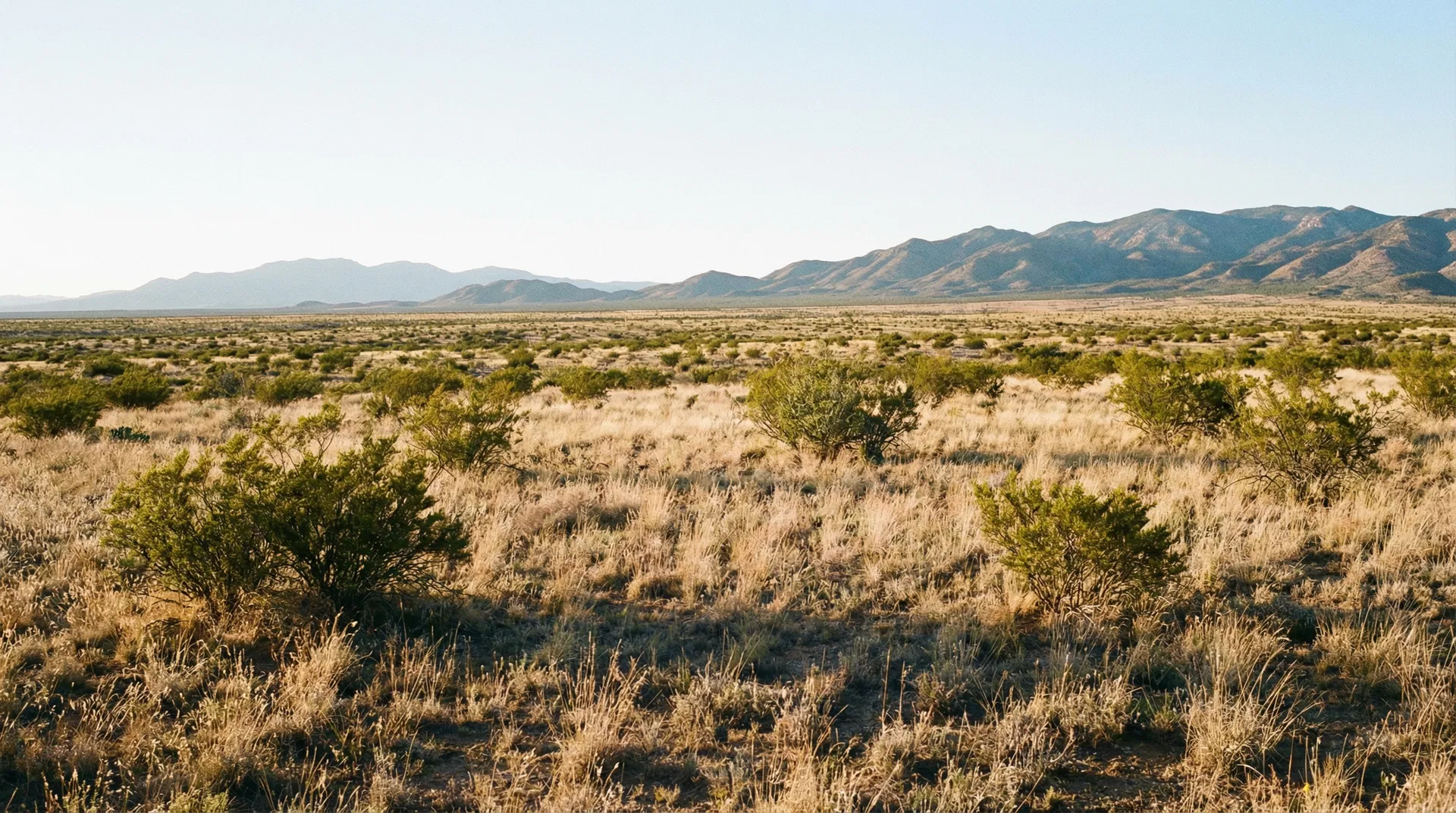 20.17 Acres in Hidalgo County, NM