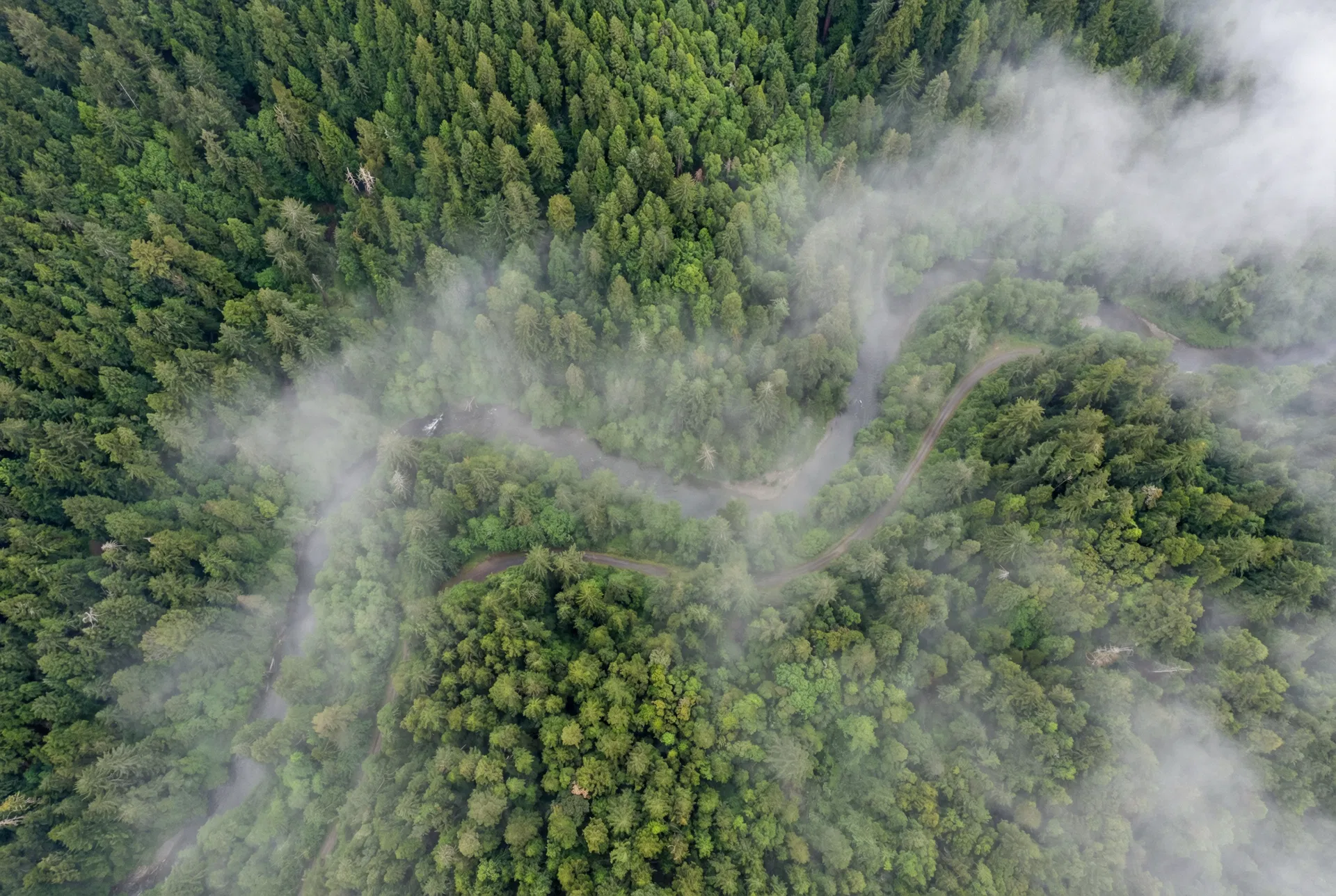 40 Acres – Humboldt County, California