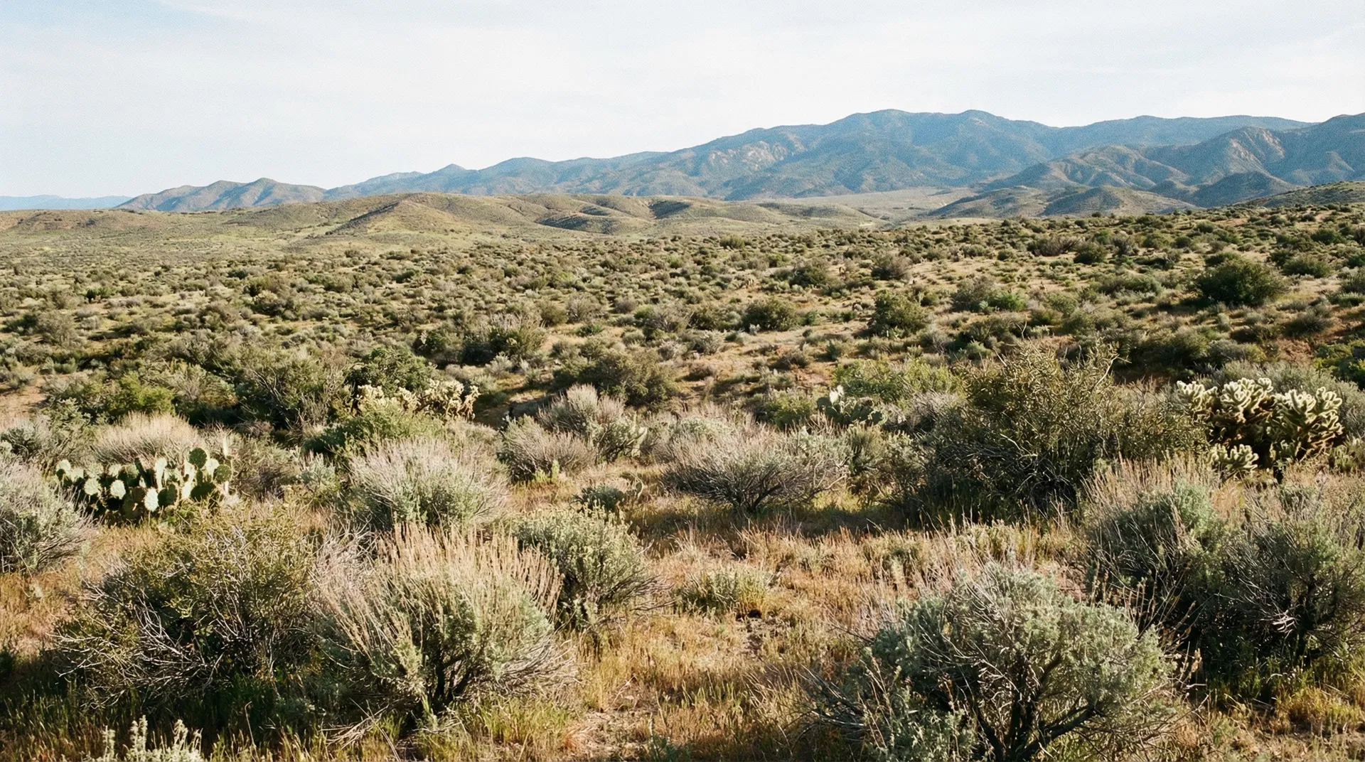 16.94 Acres in Kern County, CA