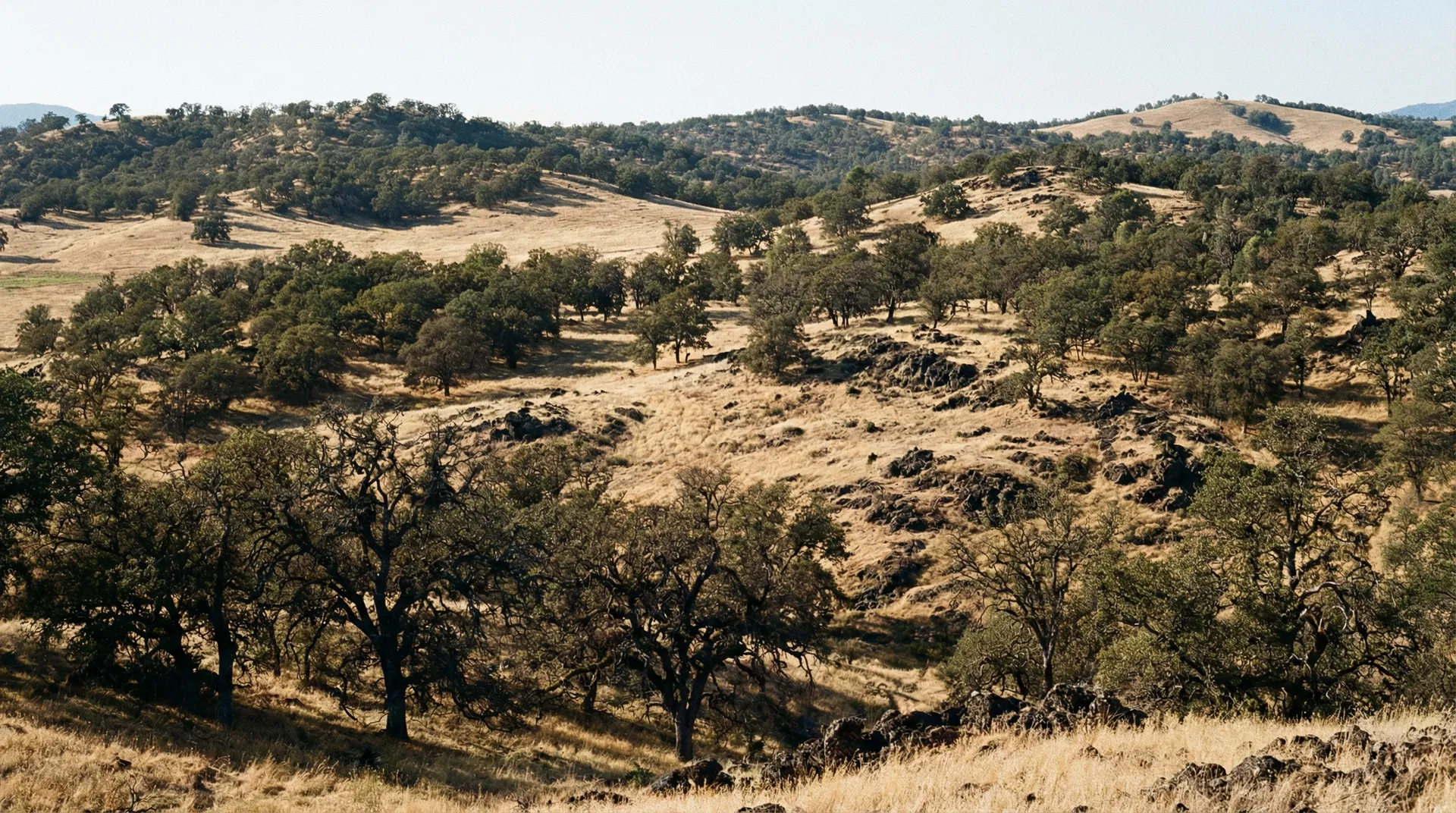 19.63 Acres in Lake County, CA