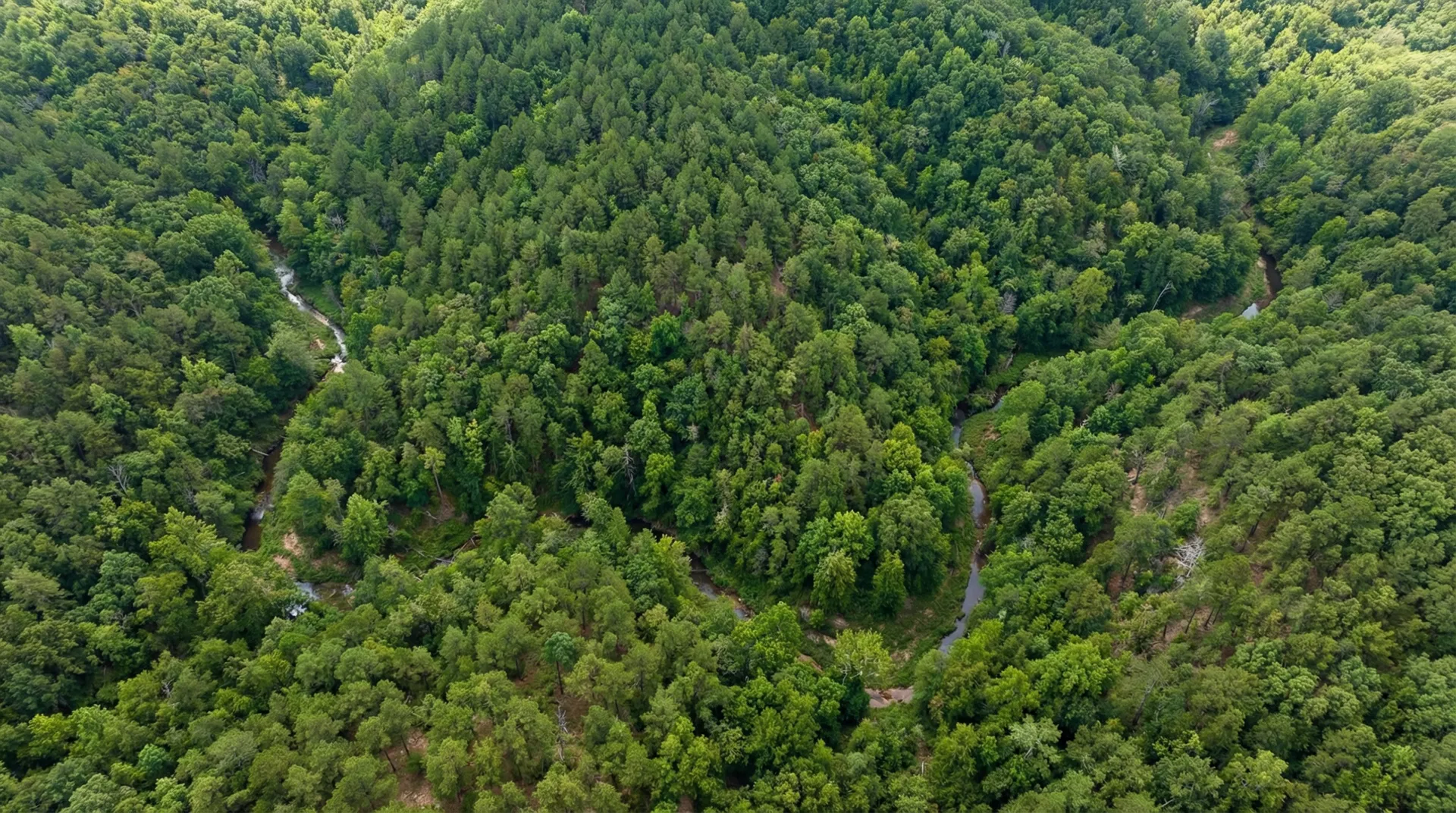 167.62 Acres – Le Flore County, Oklahoma