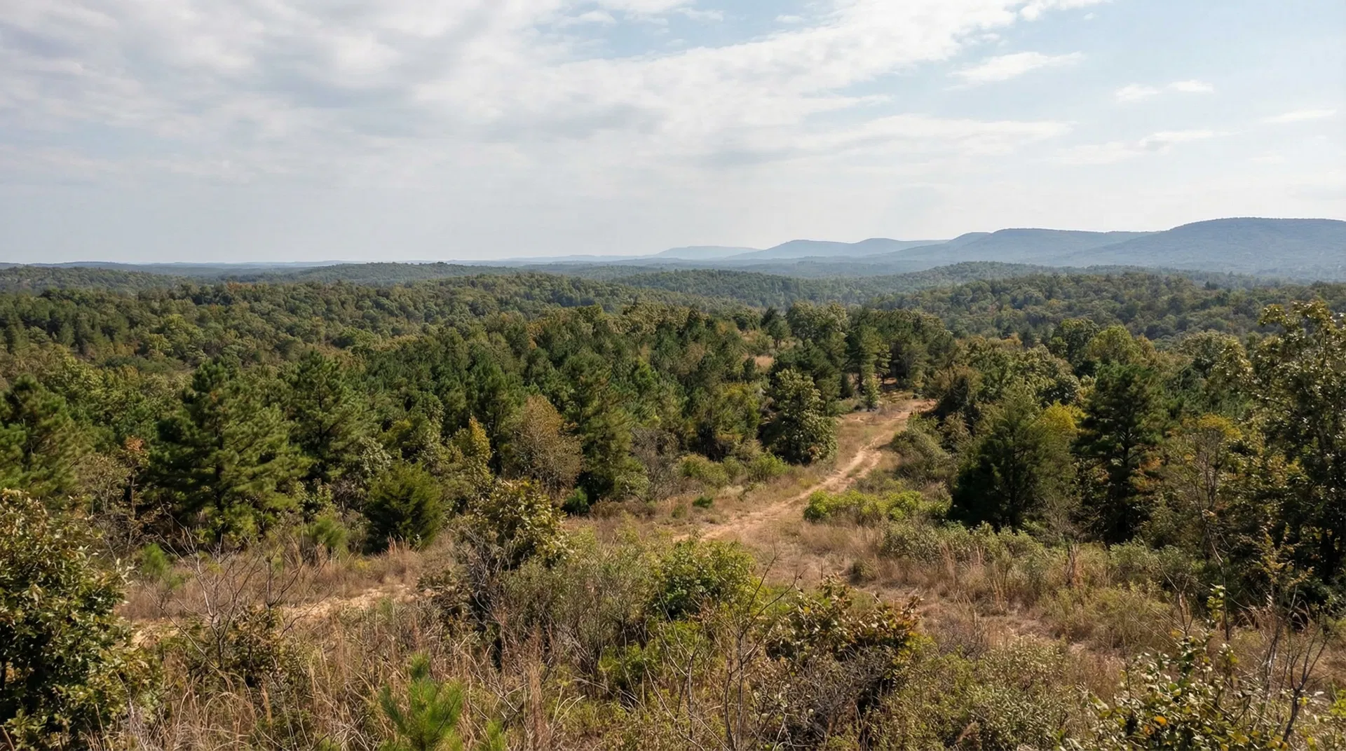 24.42 Acres in Le Flore County, OK