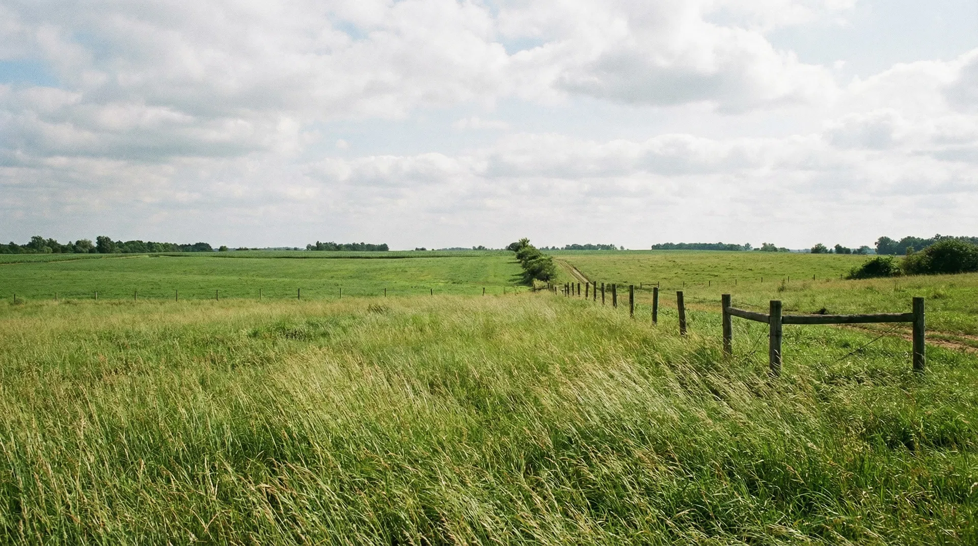 30 Acres in Licking County, OH