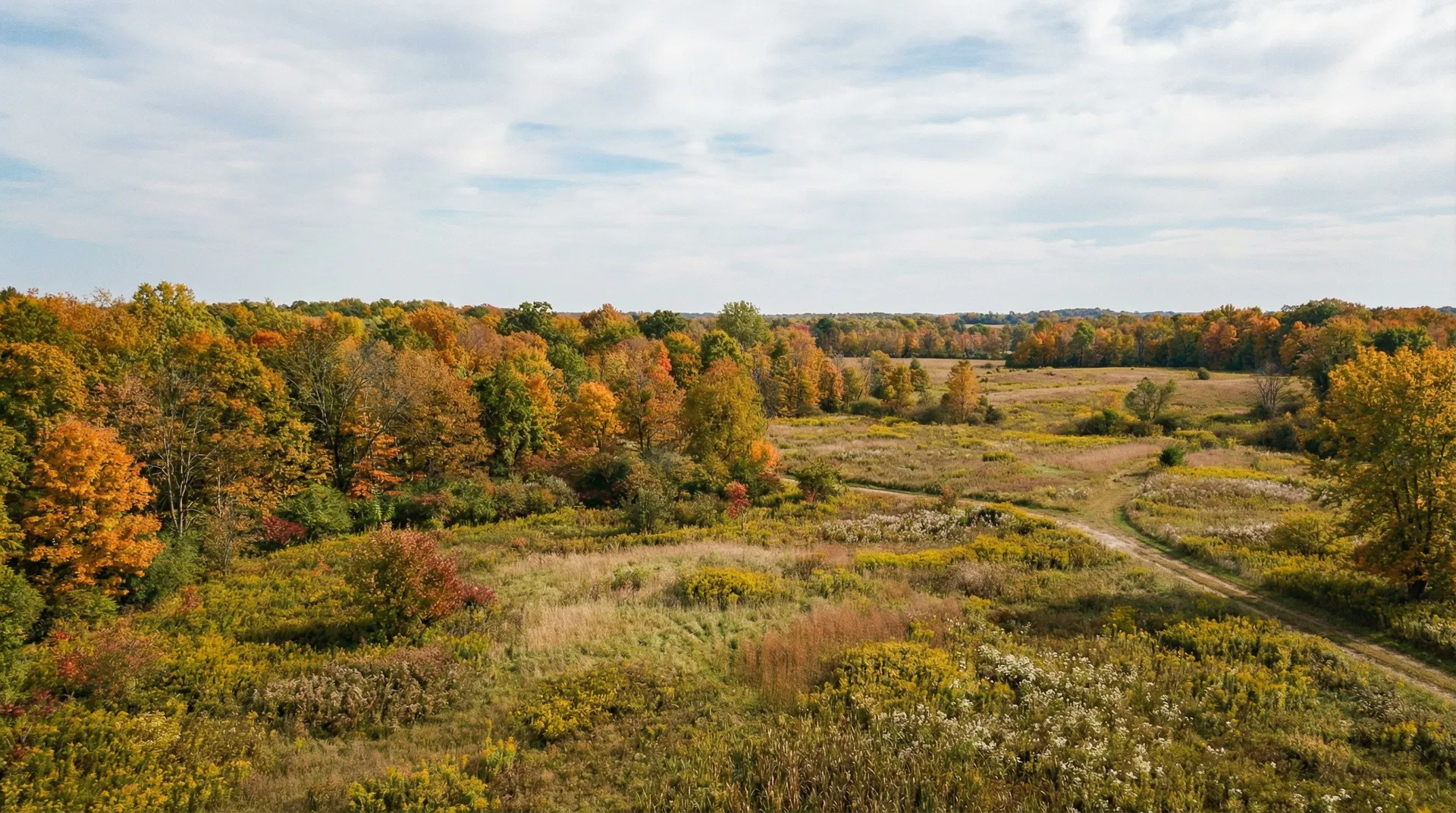 20 Acres in Livingston County, MI