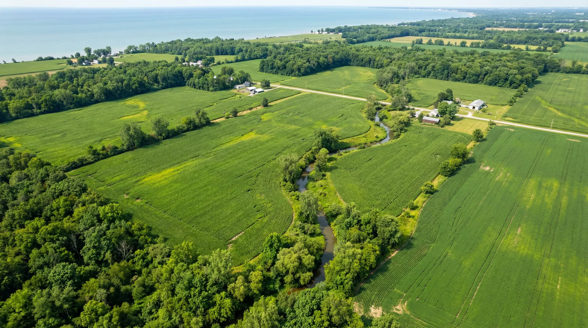 50.0 Acres – Lorain County, Ohio