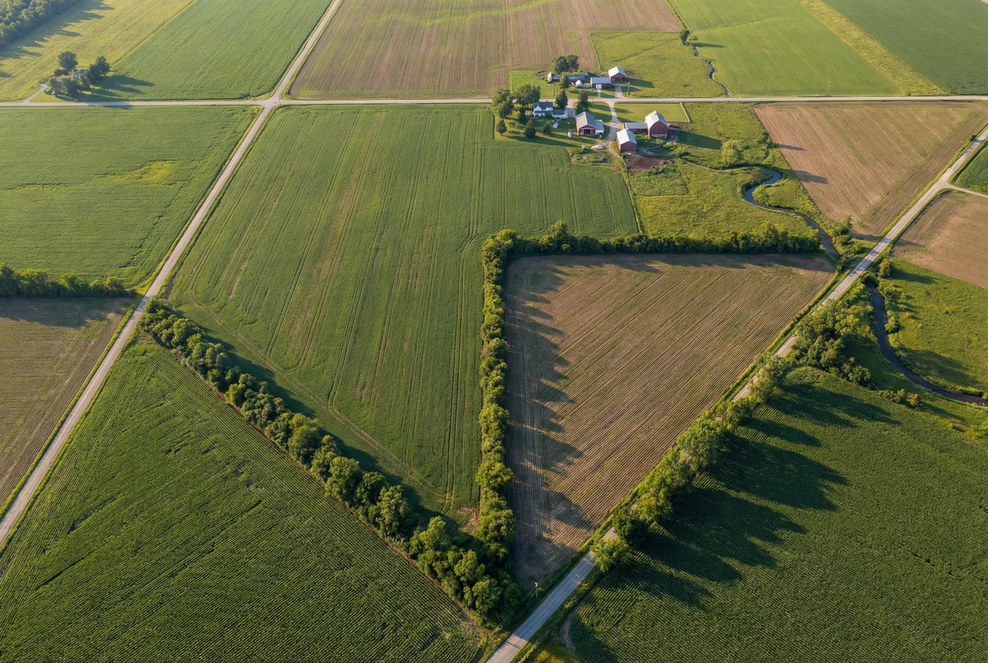 36.3 Acres – Lorain County, Ohio