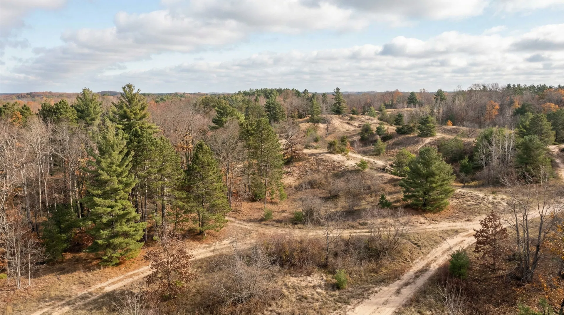 25.258 Acres in Manistee County, MI