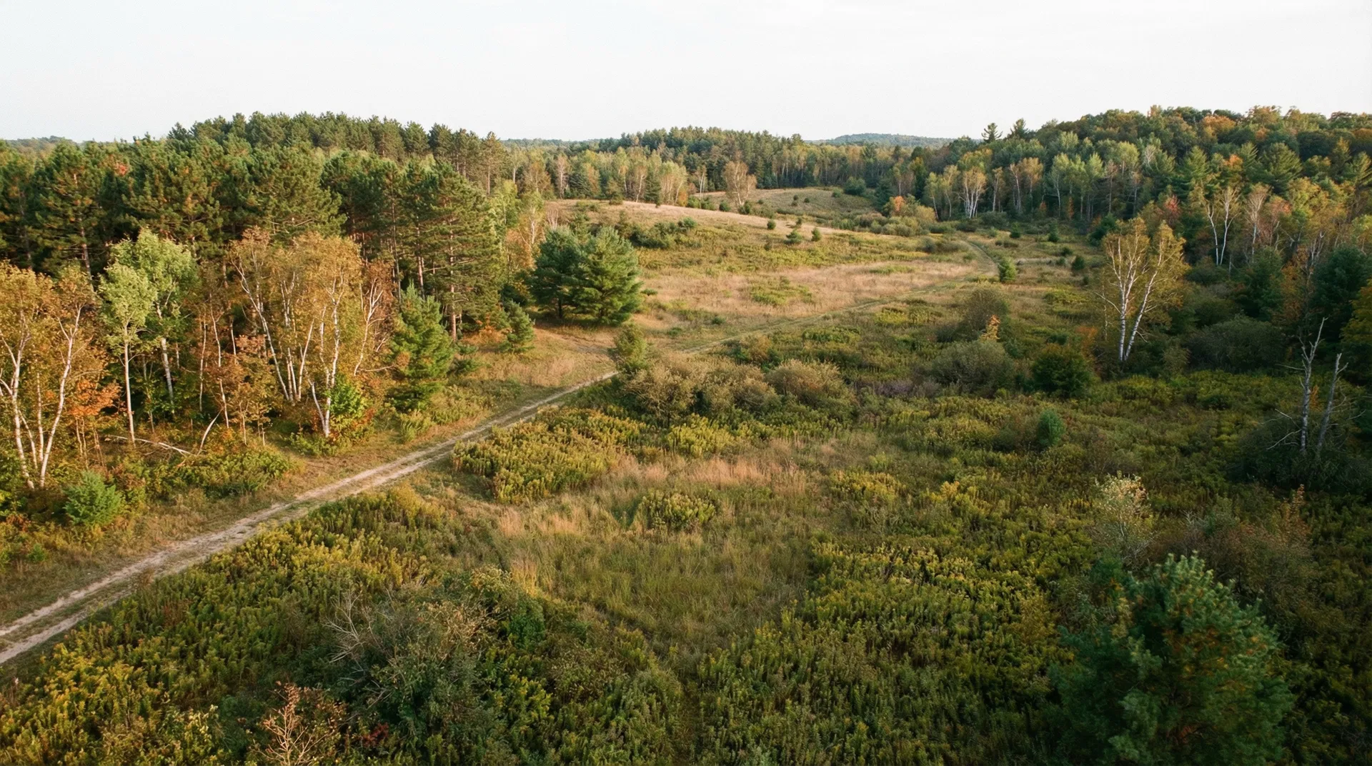 24.75 Acres in Manistee County, MI