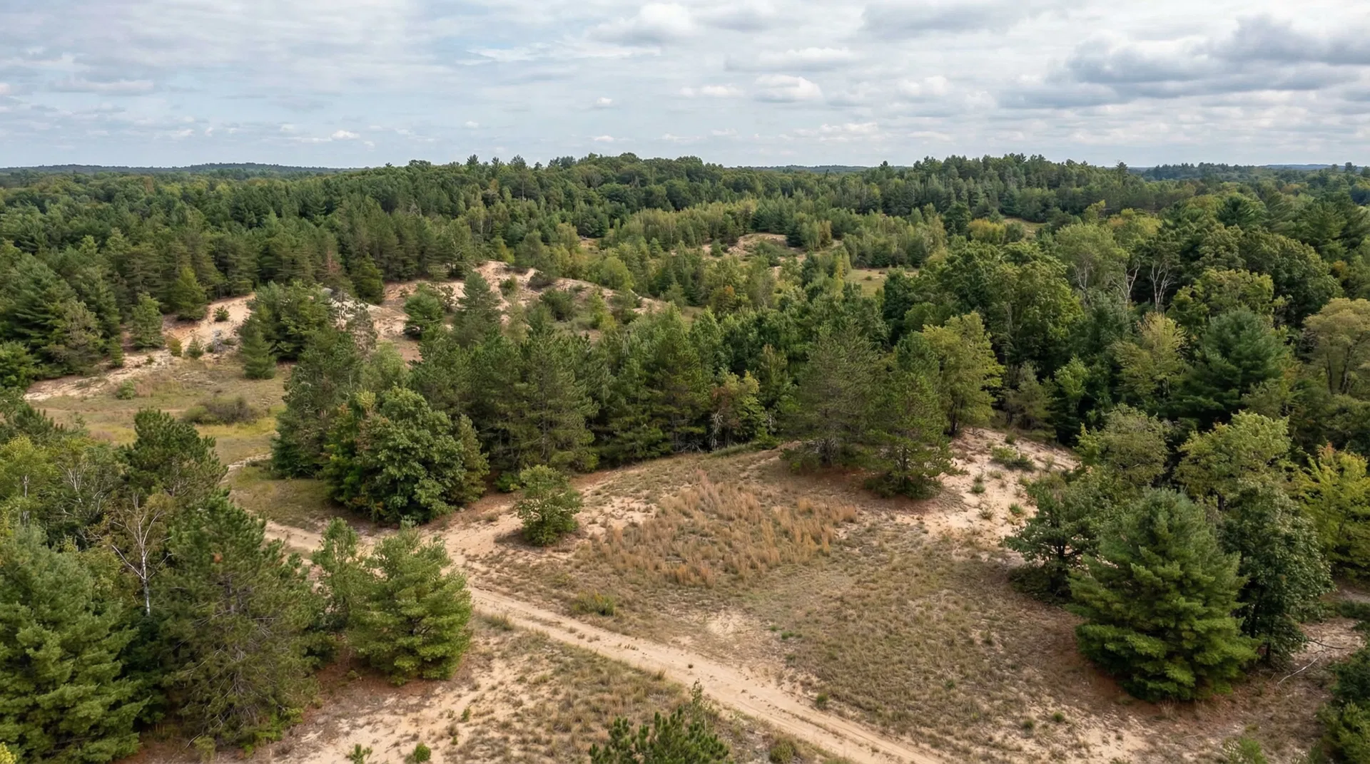 20 Acres in Manistee County, MI