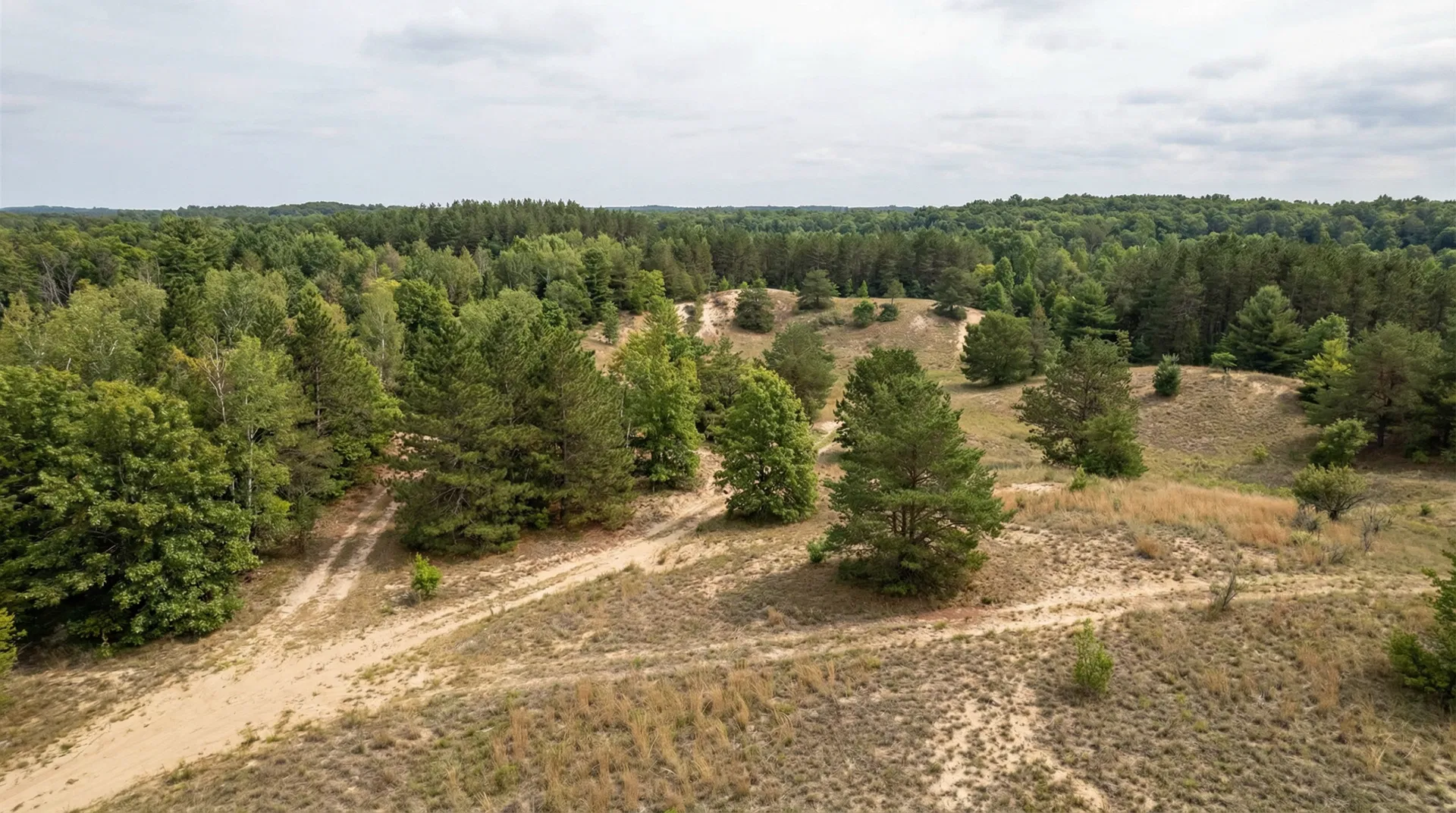 17.9 Acres in Manistee County, MI