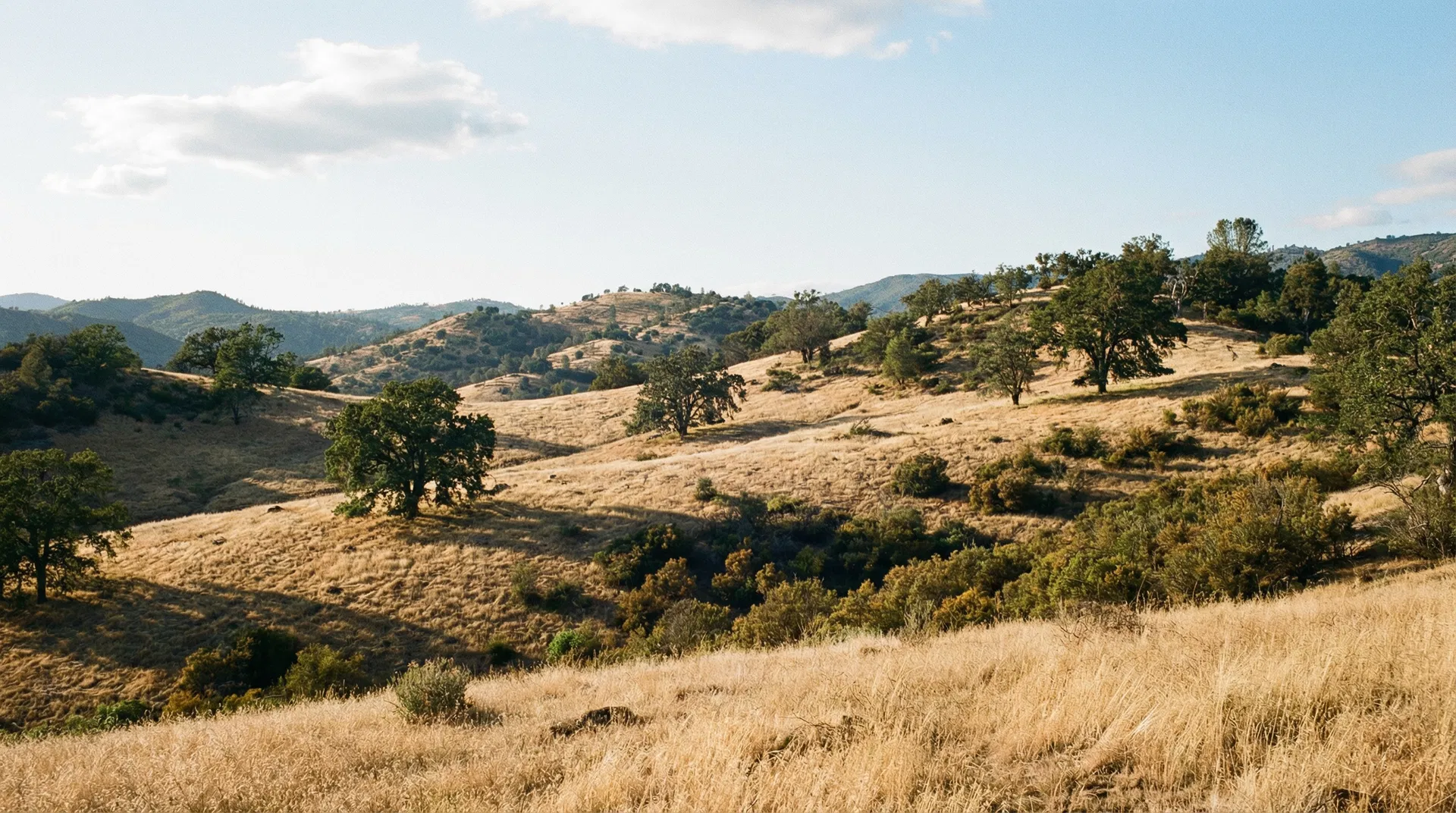 21.5 Acres in Mariposa County, CA