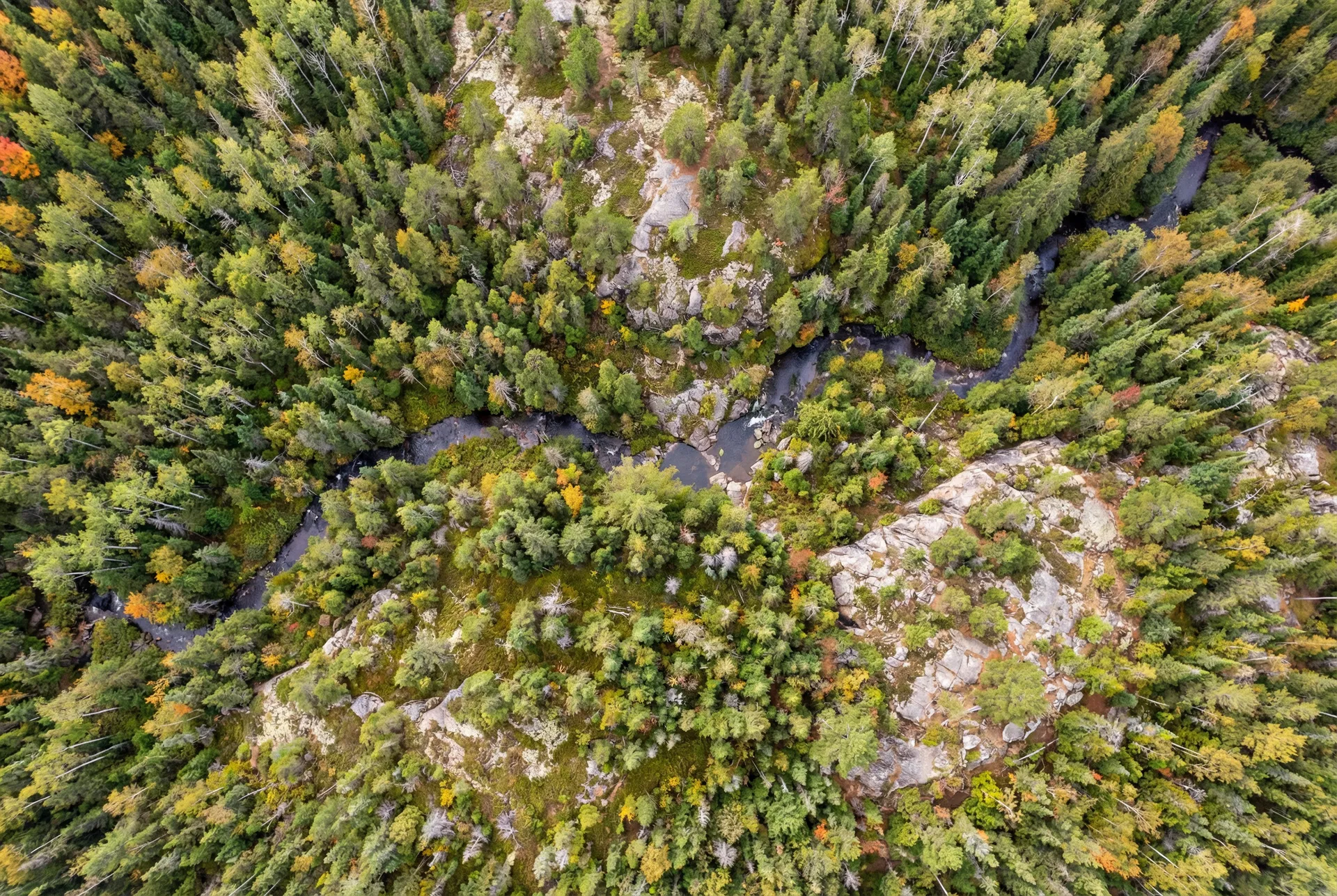 40 Acres – Marquette County, Michigan