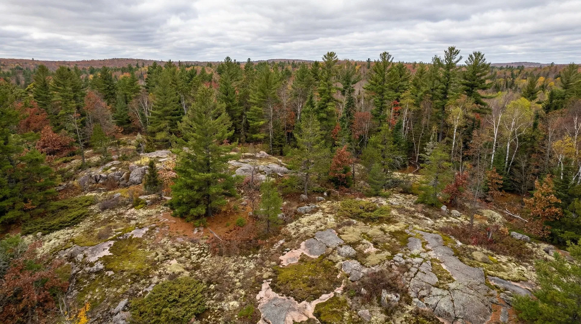 17 Acres in Marquette County, MI