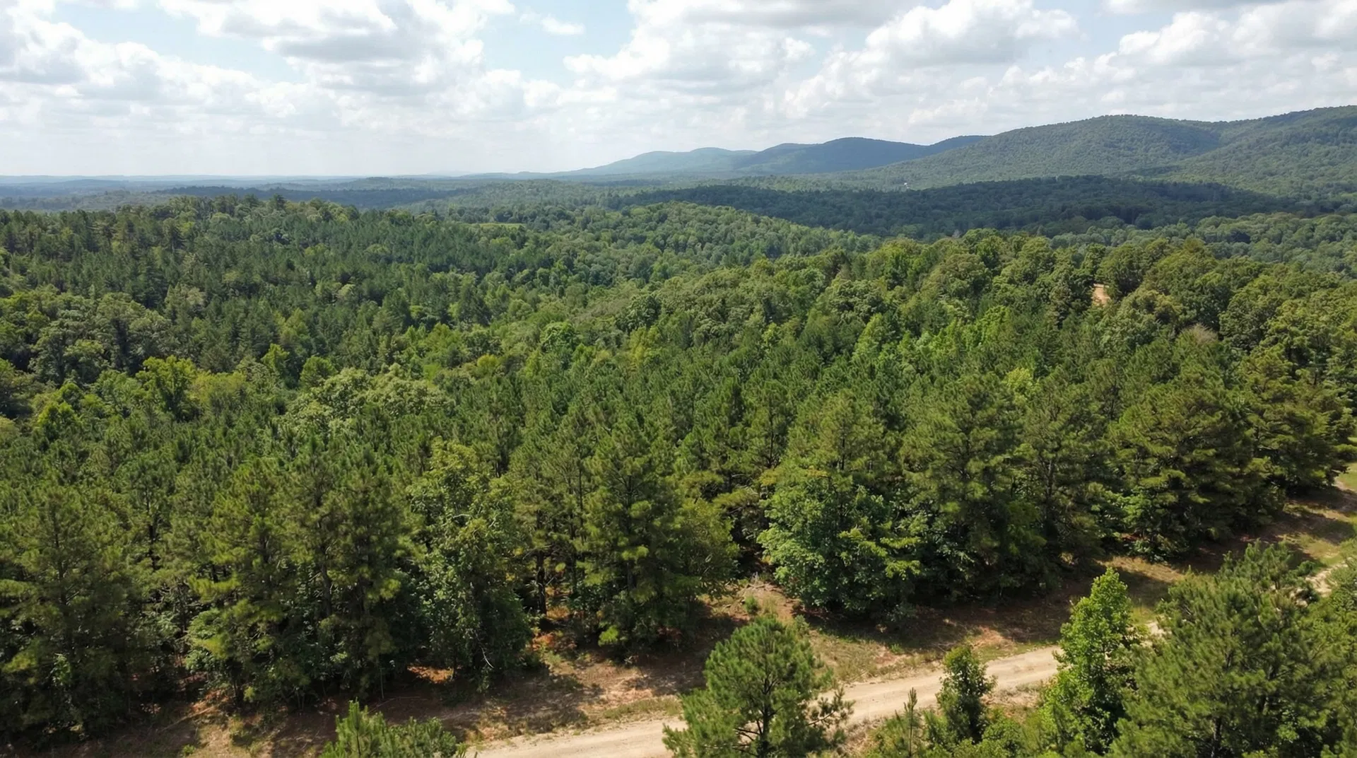 20 Acres in Mccurtain County, OK