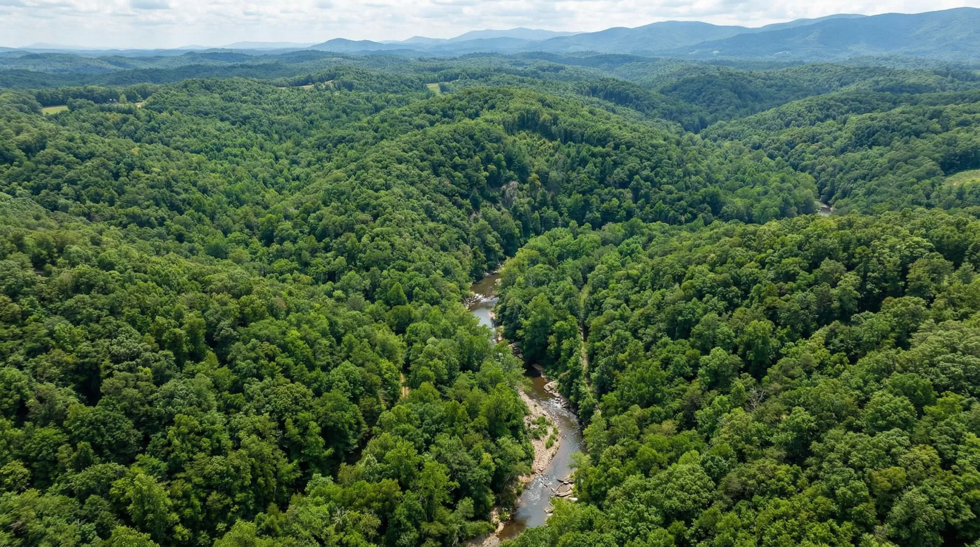 117.26 Acres – Mcdowell County, North Carolina