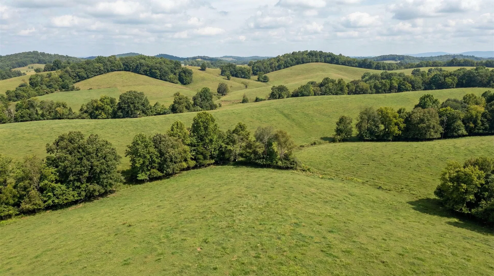 20 Acres in Mcminn County, TN