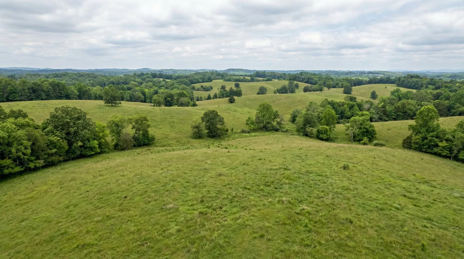 19.89 Acres in Mcminn County, TN