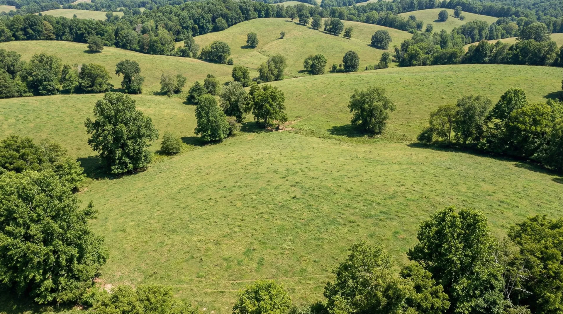 26.61 Acres in Meigs County, TN