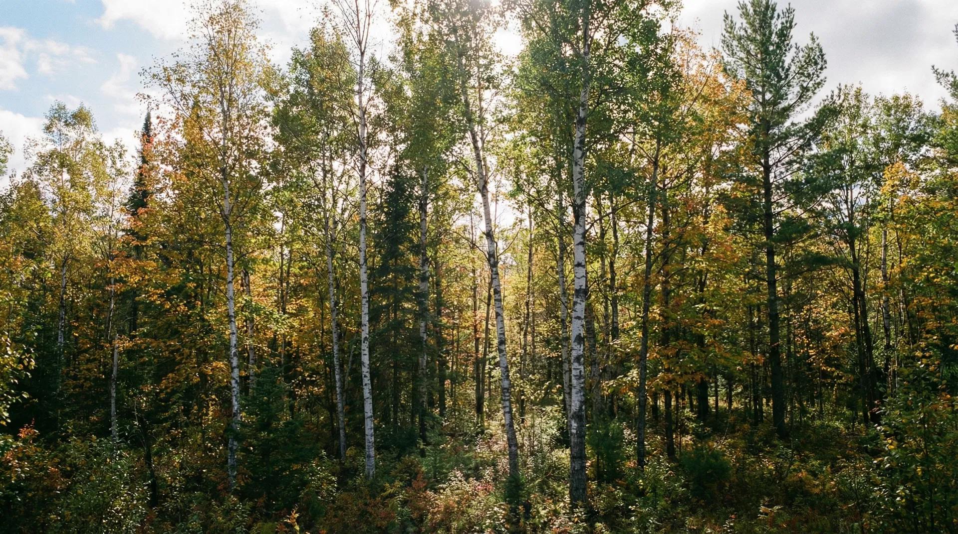 20.355 Acres in Menominee County, MI