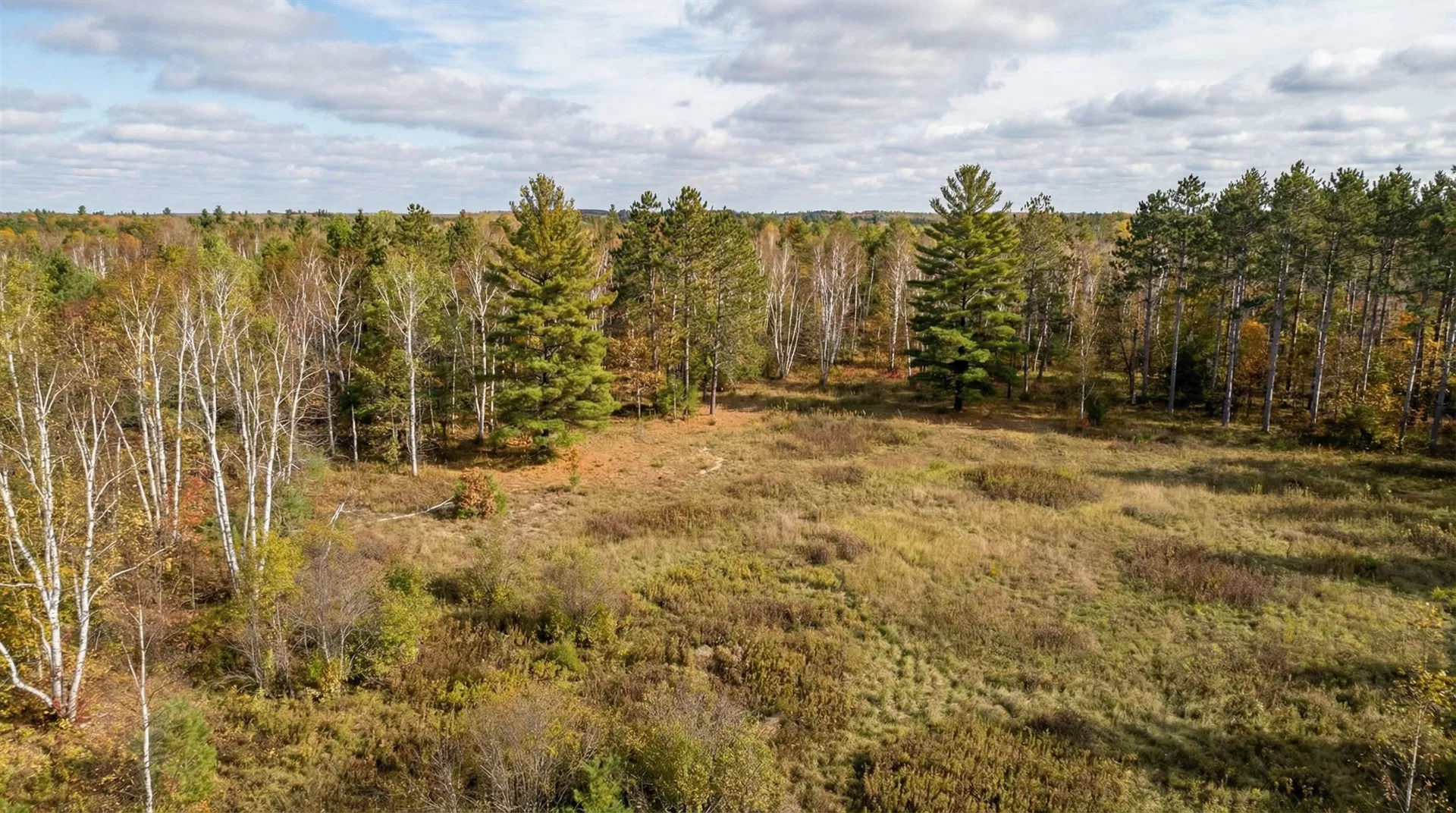 20 Acres in Menominee County, MI