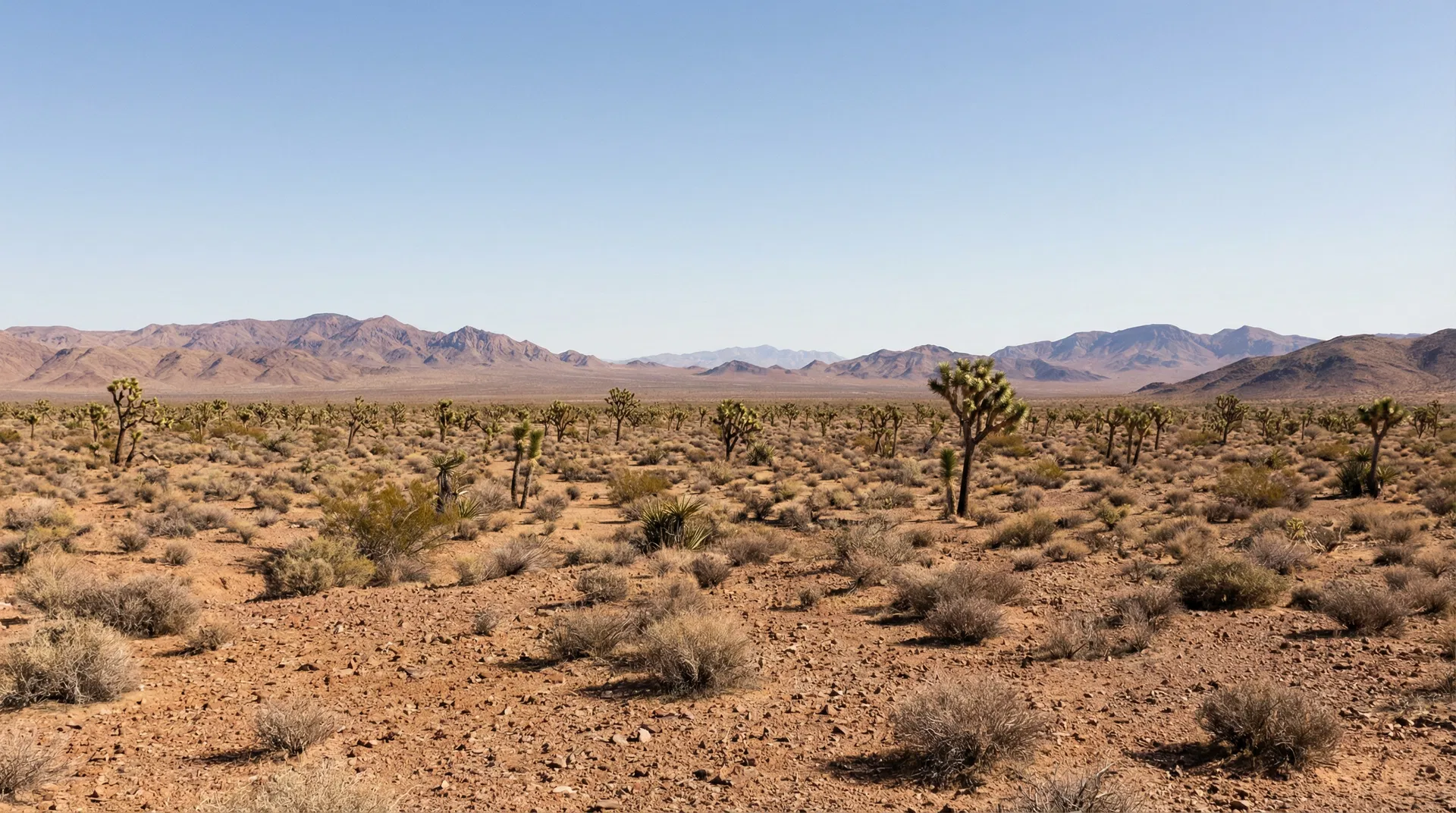 17.25 Acres in Mohave County, AZ