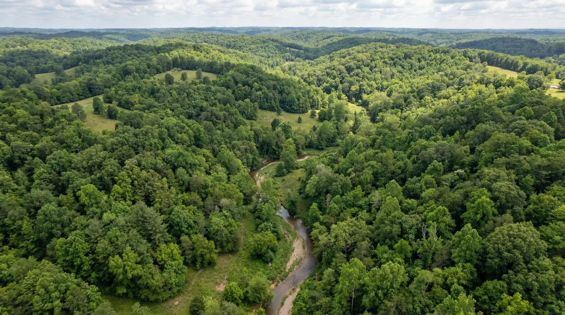 50.0 Acres – Morgan County, Kentucky