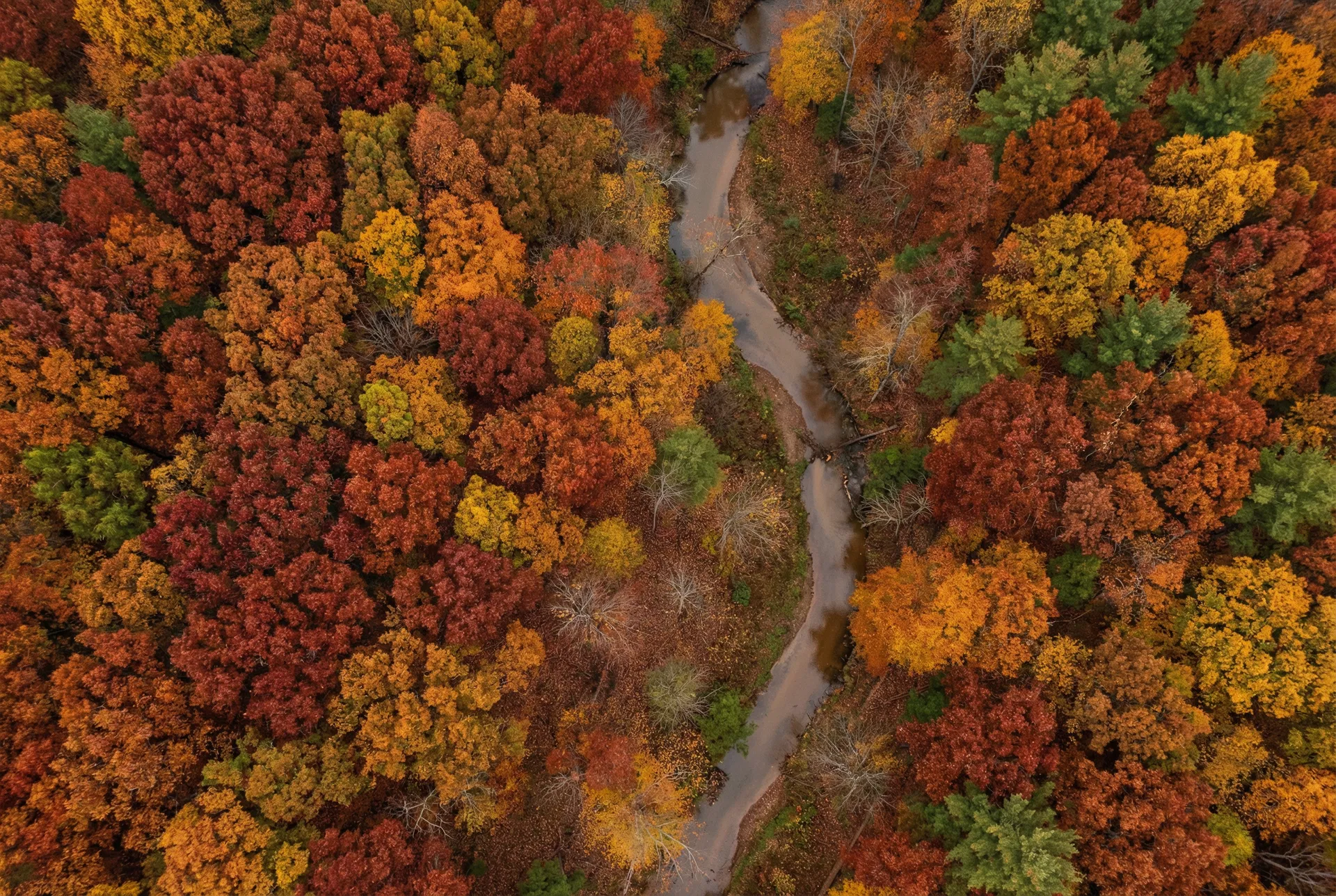 30.4 Acres – Noble County, Ohio