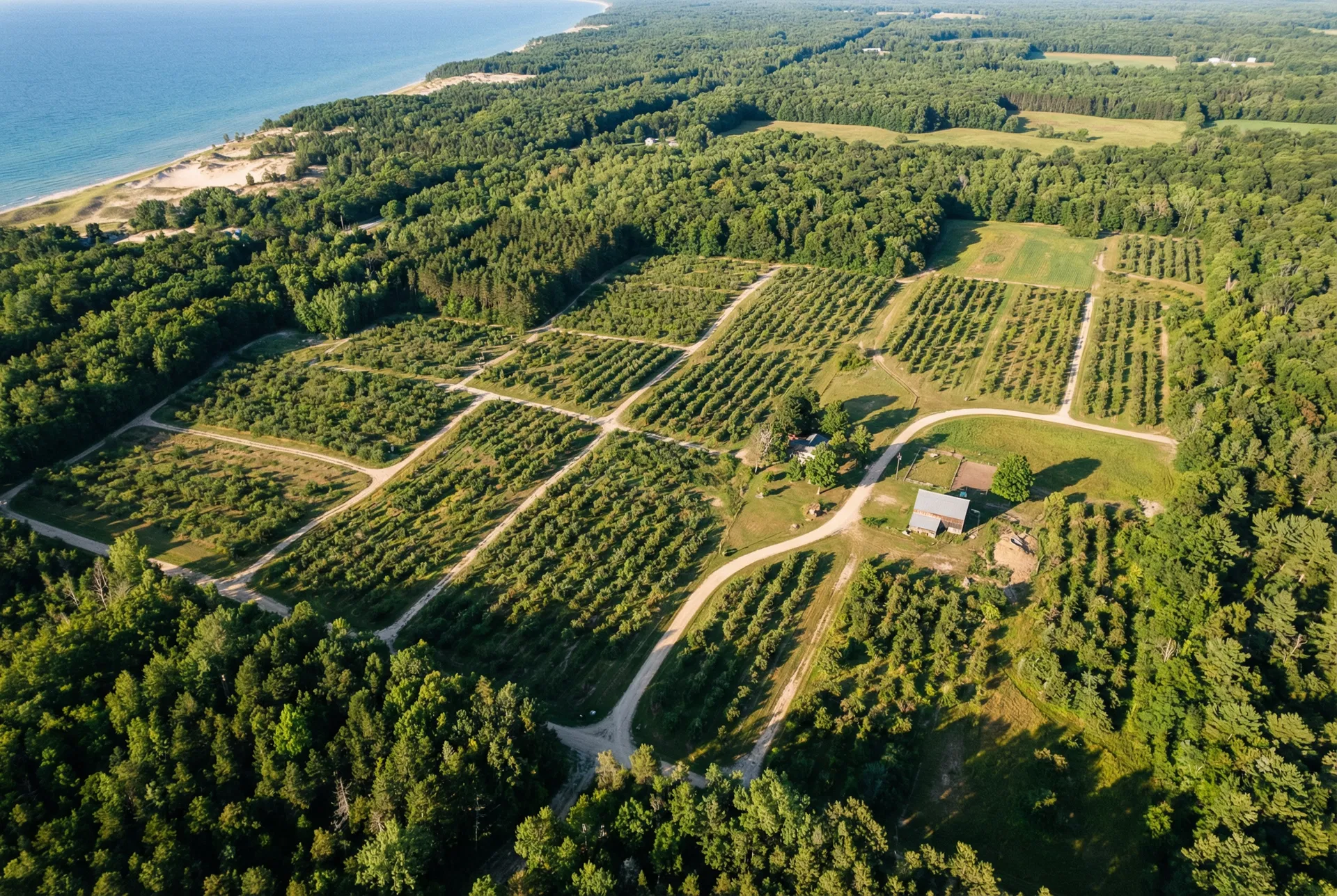 40 Acres – Oceana County, Michigan