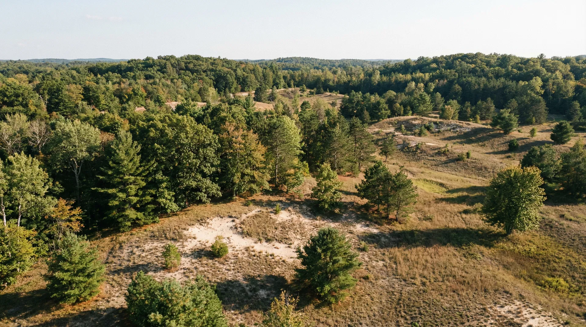 20 Acres in Oceana County, MI