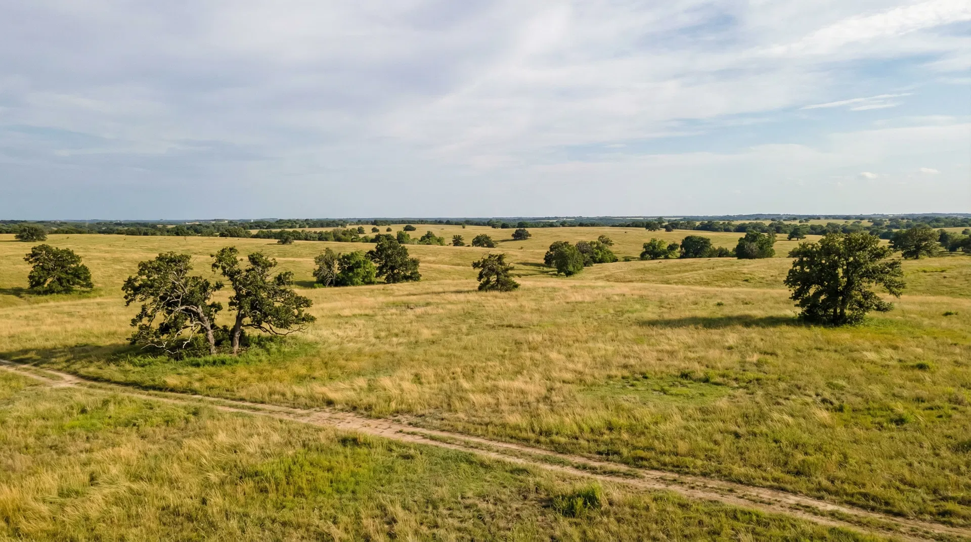 24 Acres in Parker County, TX