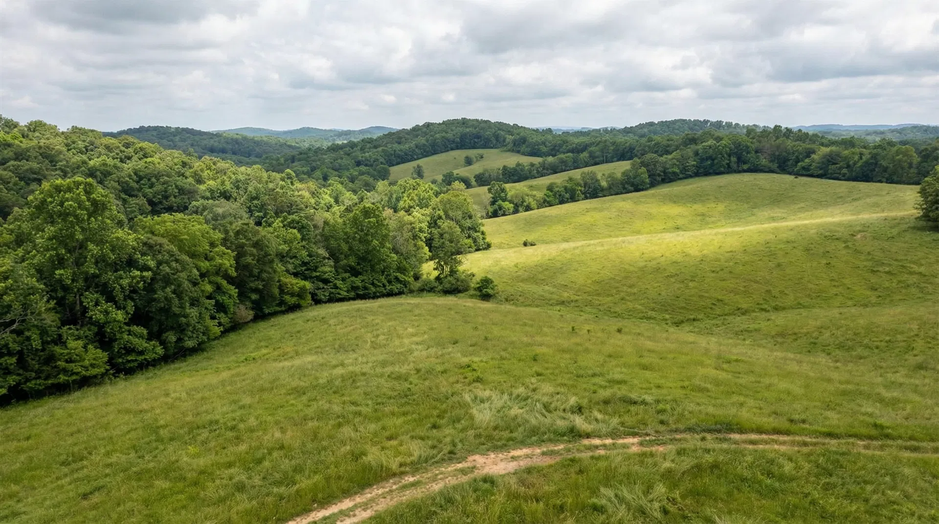 25.07 Acres in Perry County, TN