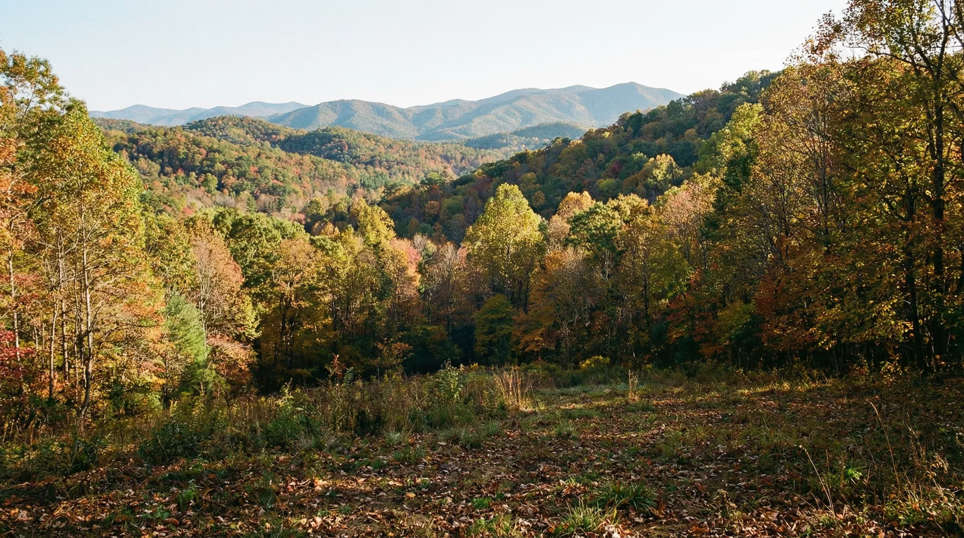 18.52 Acres in Polk County, NC