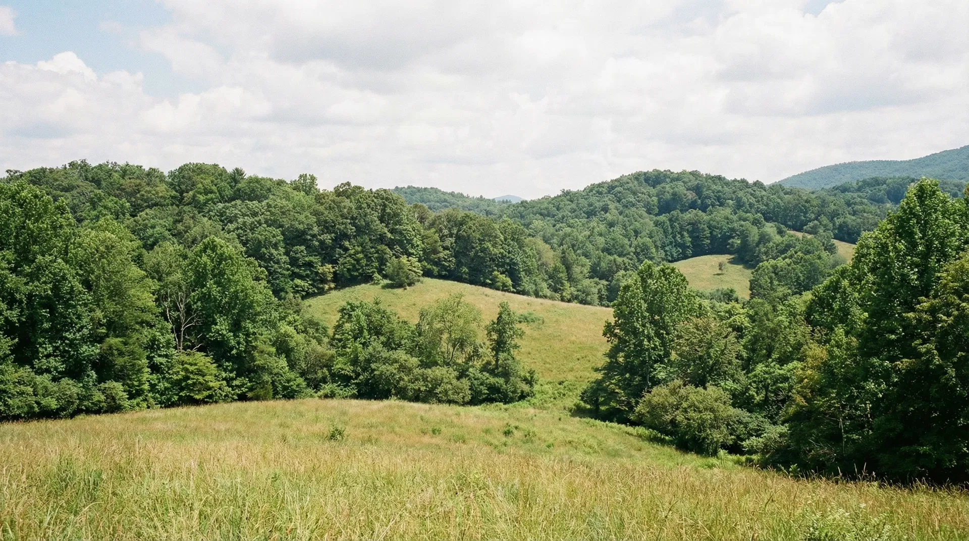 17.03 Acres in Polk County, NC