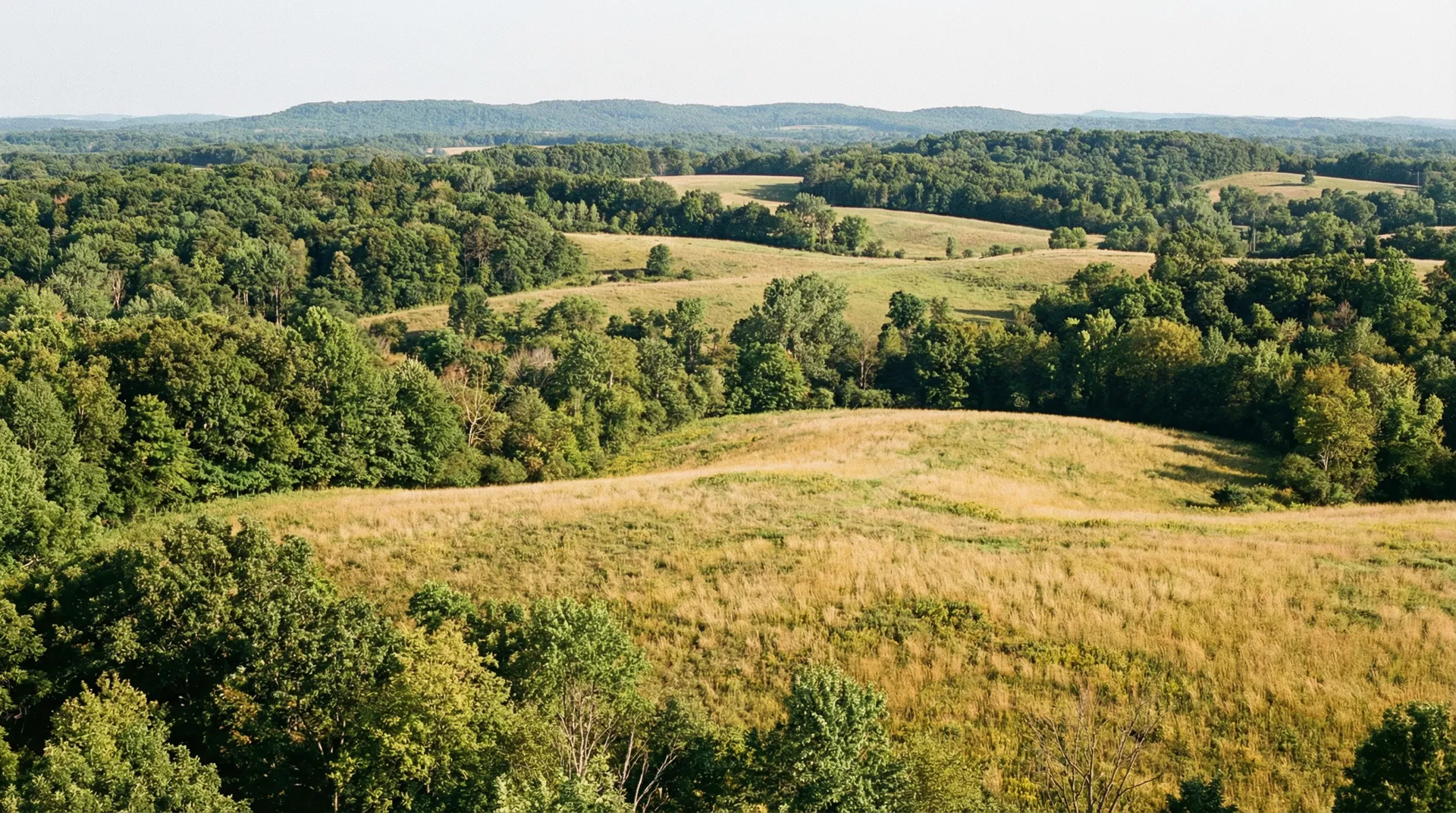 28 Acres in Richland County, WI