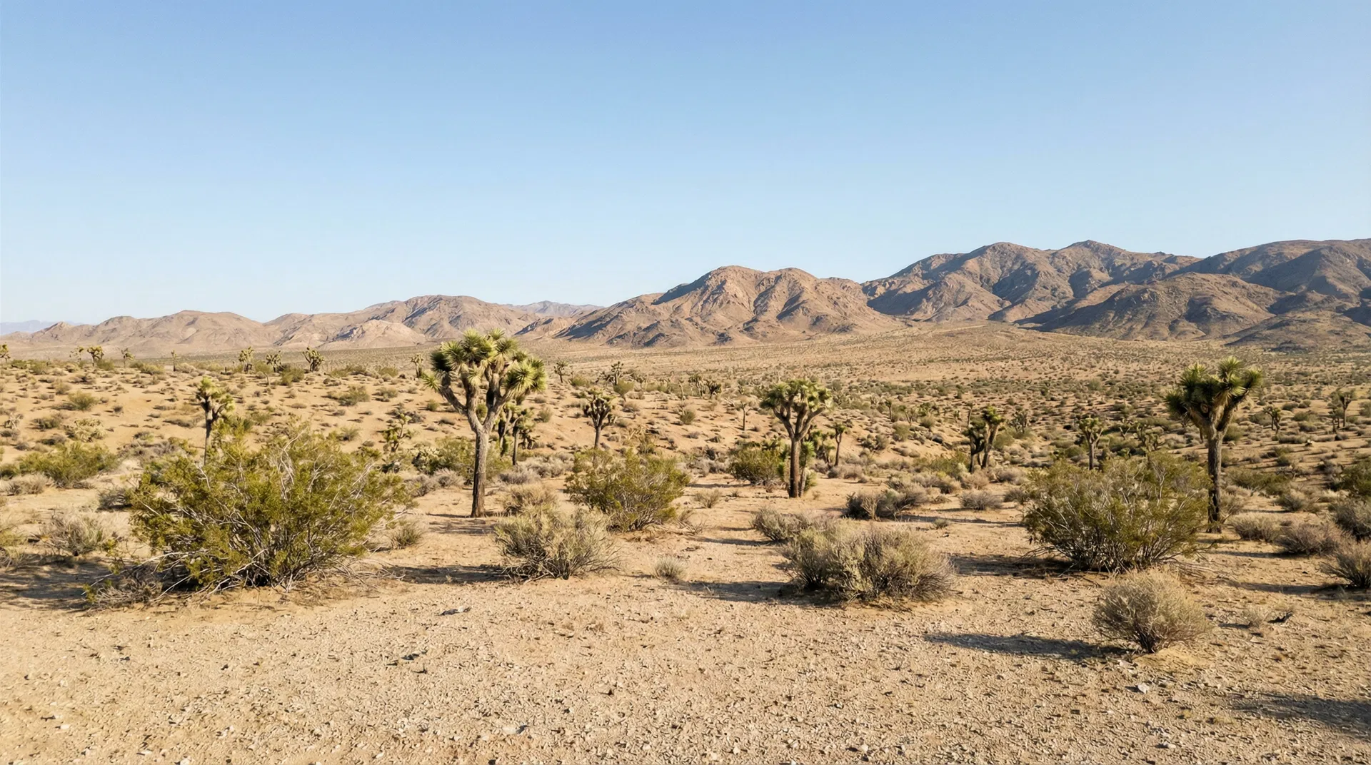 20 Acres in San Bernardino County, CA