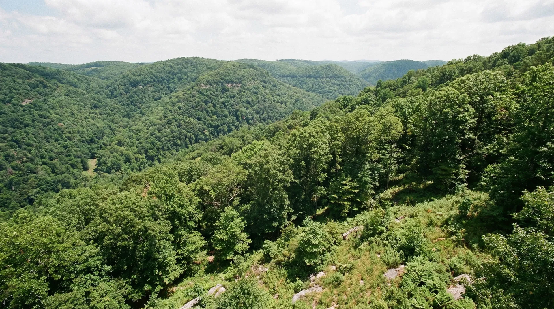 22.8 Acres in Scott County, TN