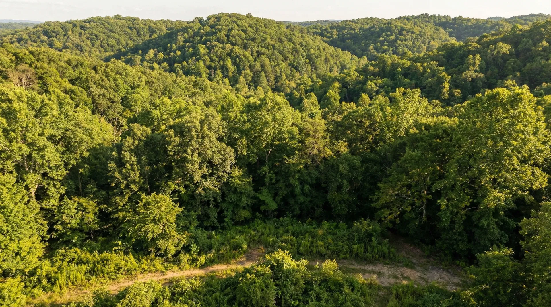 20.11 Acres in Scott County, TN