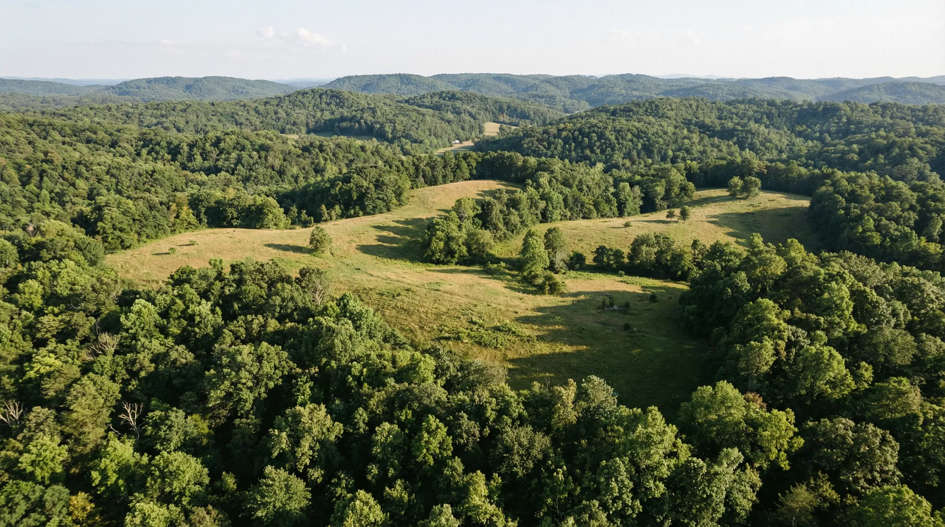 19.7 Acres in Scott County, TN