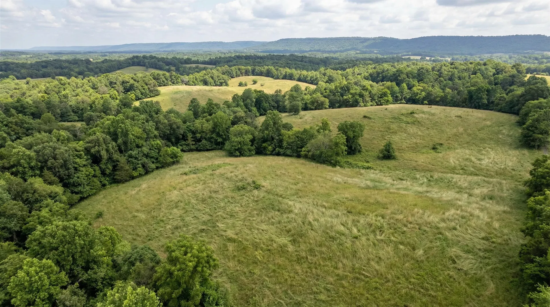 18.4 Acres in Wayne County, TN