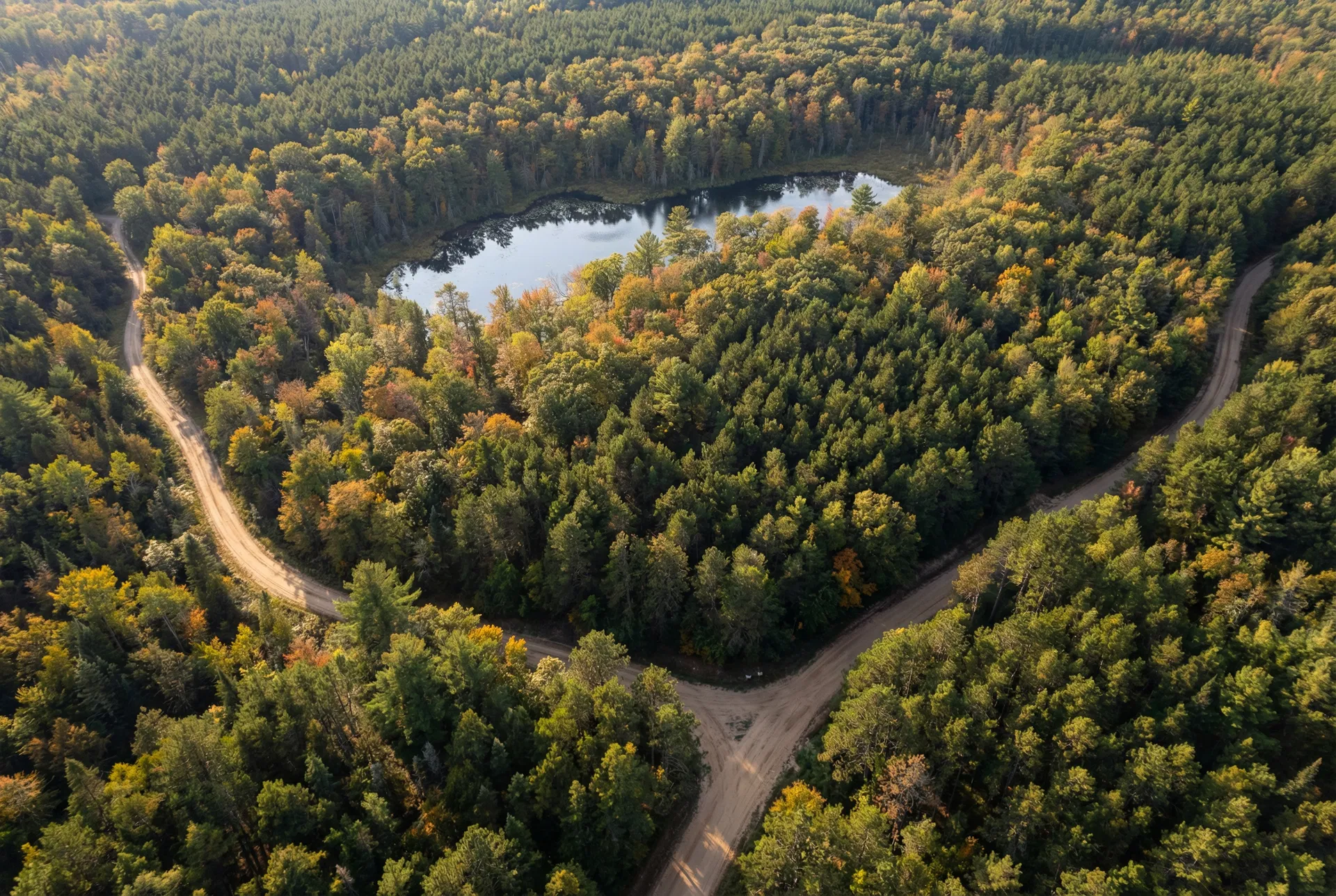 40 Acres – Wexford County, Michigan