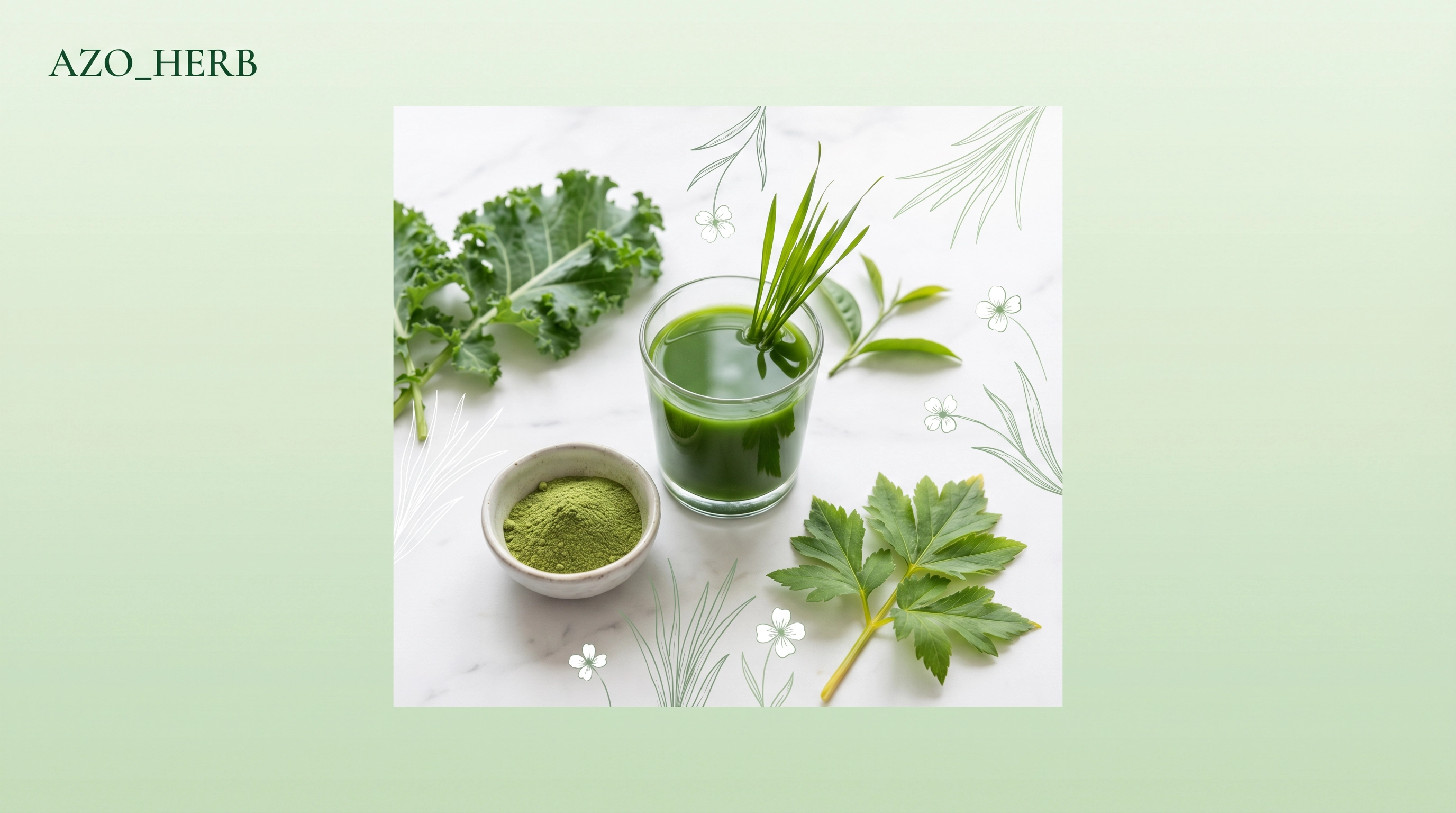 青汁是什麼？大麥若葉、明日葉、乳酸菌配方的現代科學解析 封面