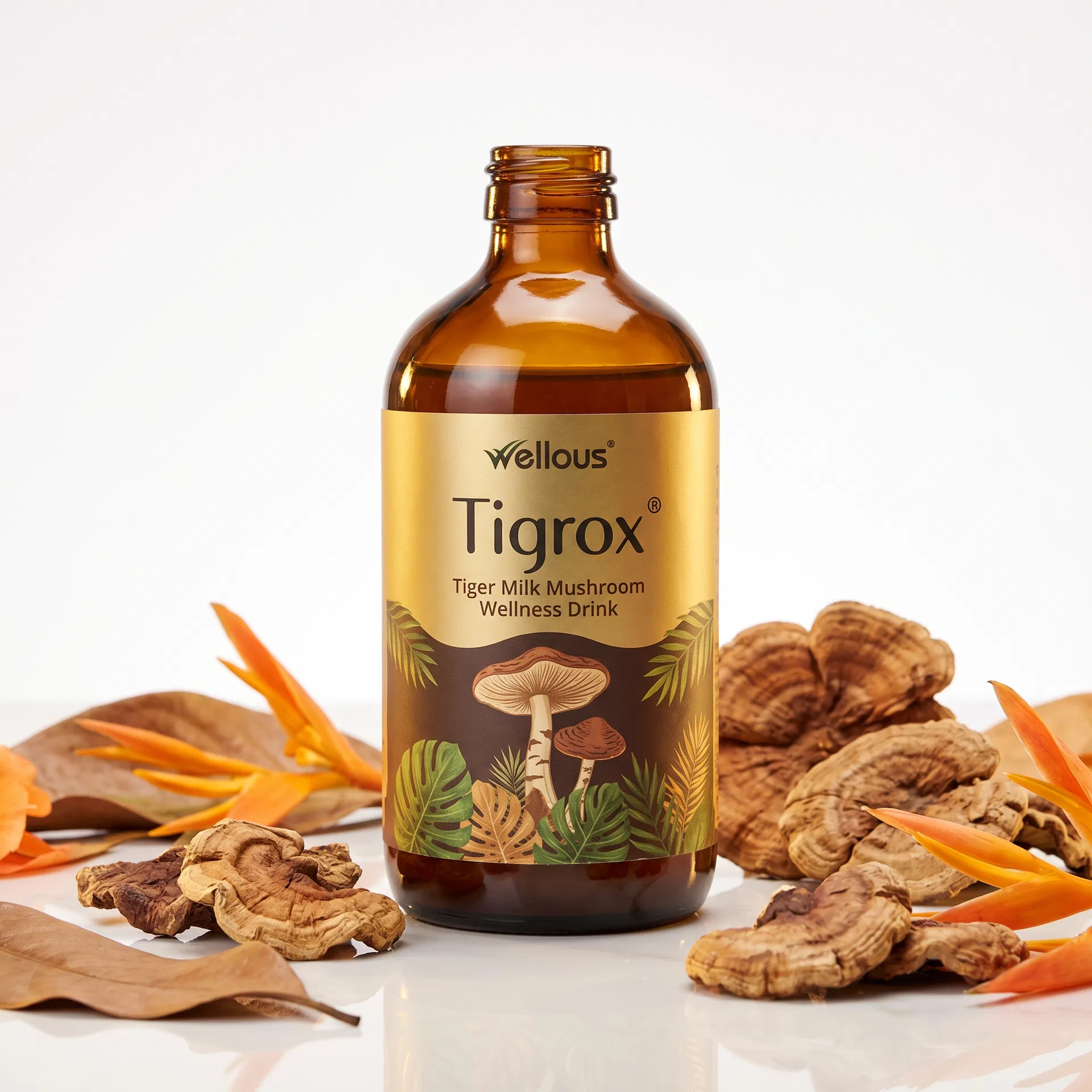 tigrox 虎奶菇養氣飲｜唯樂 Wellous 台灣熱銷功能性飲品 產品圖片