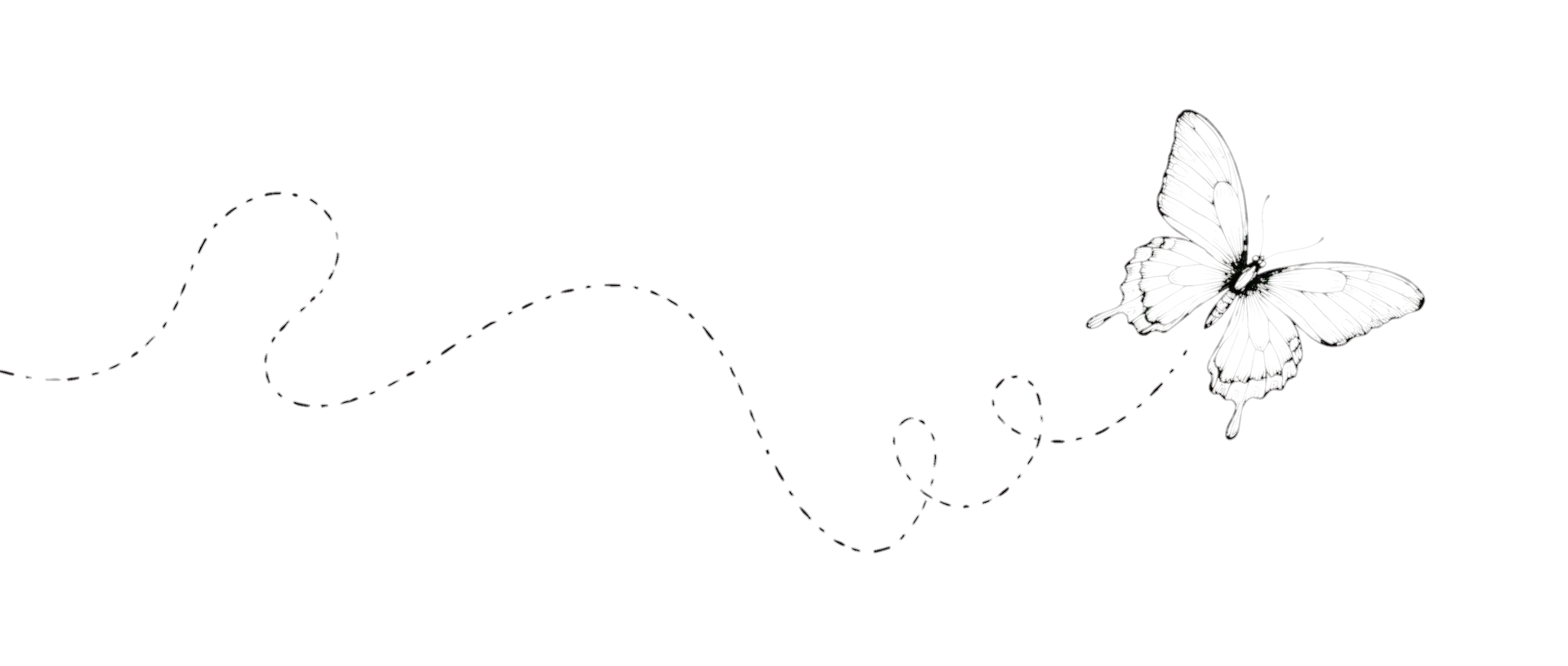 Butterflies in flight