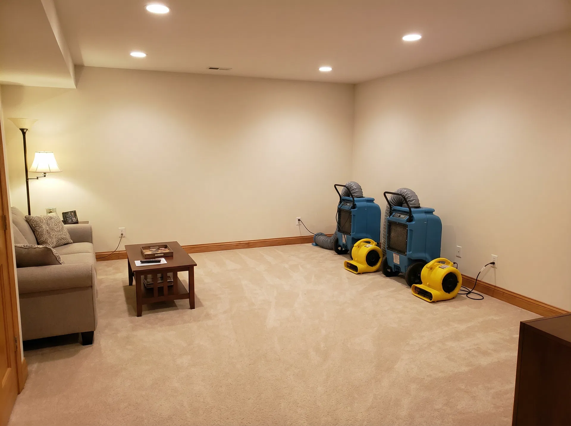 After water extraction by Steamly Pro