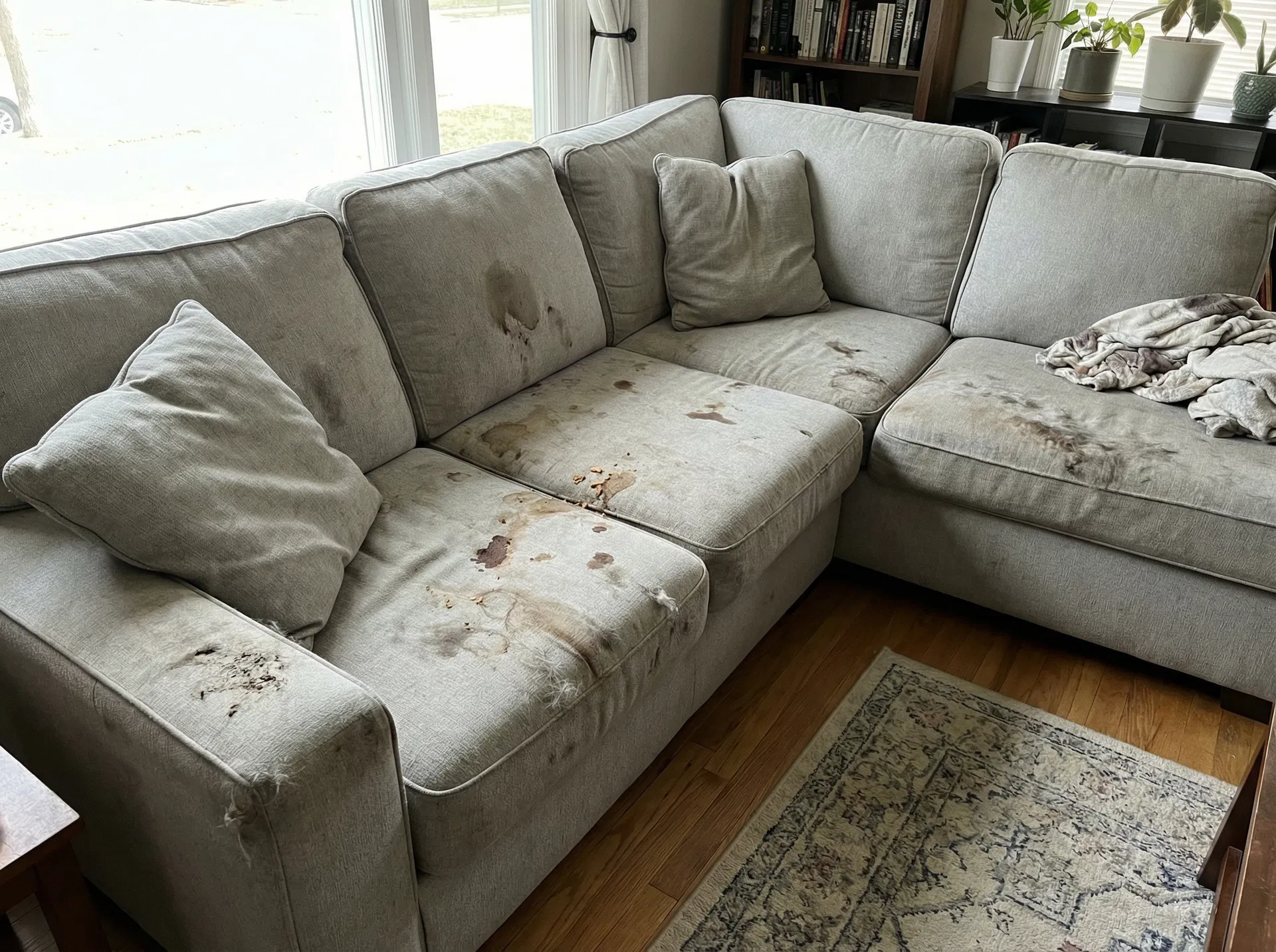 Before upholstery deep cleaning by Steamly Pro