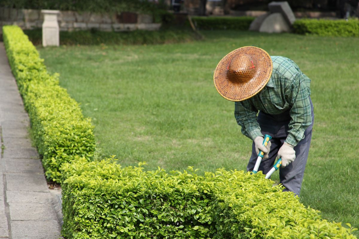Gardening Services